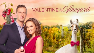Valentine In The Vineyard