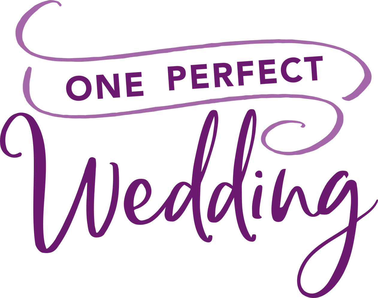 One Perfect Wedding
