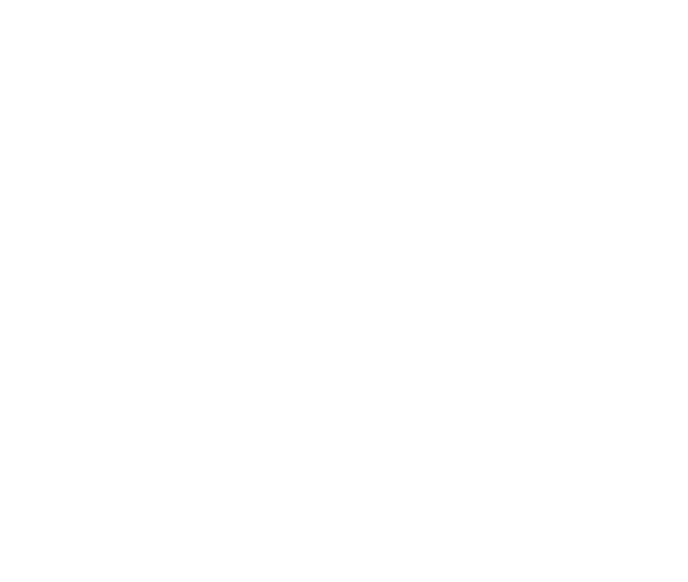 Three Identical Strangers
