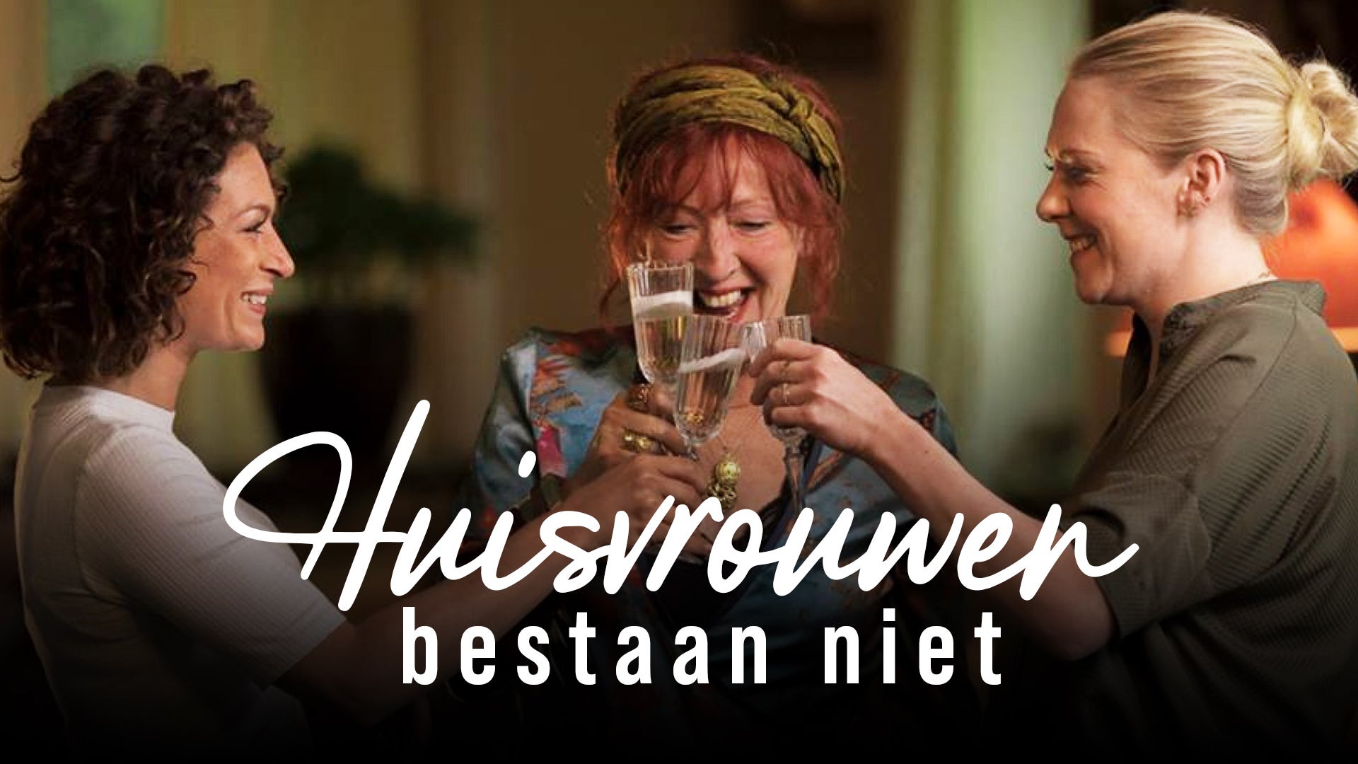Huisvrouwen Bestaan Niet