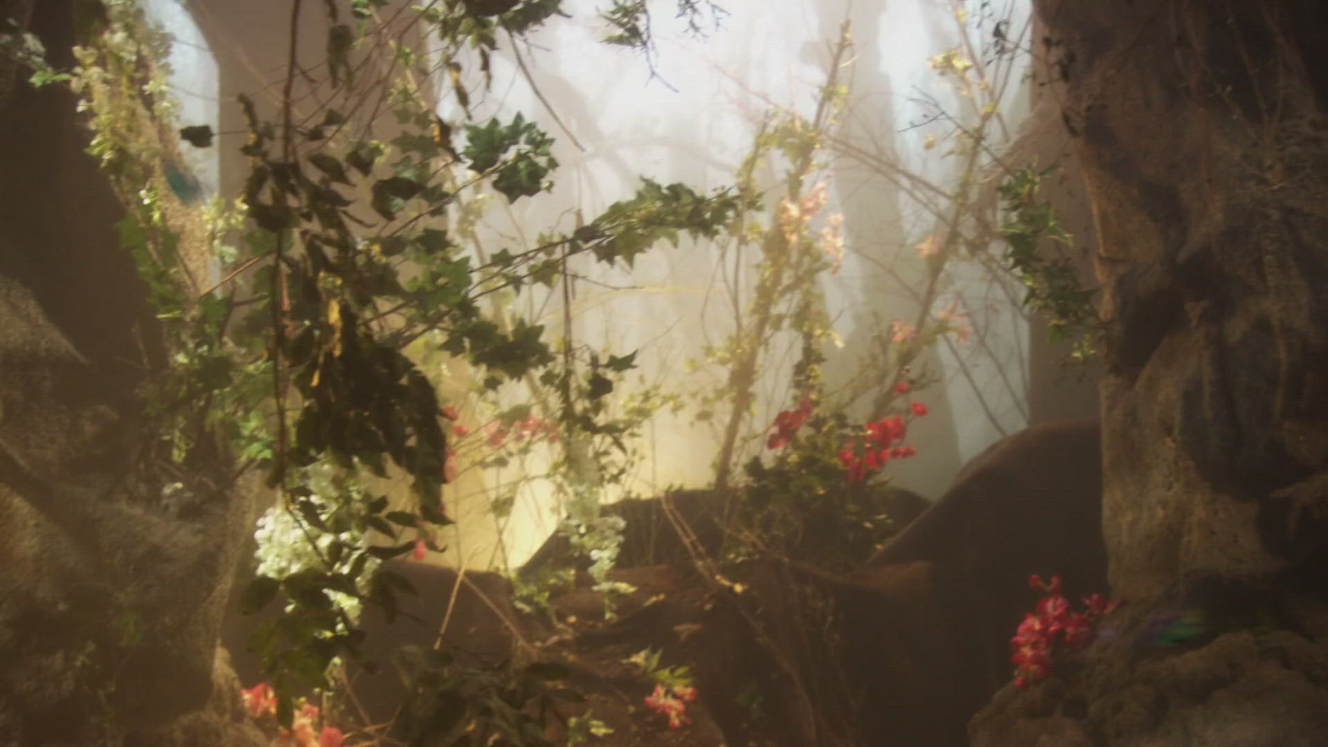 Pardoes En De Vele Veranderingen