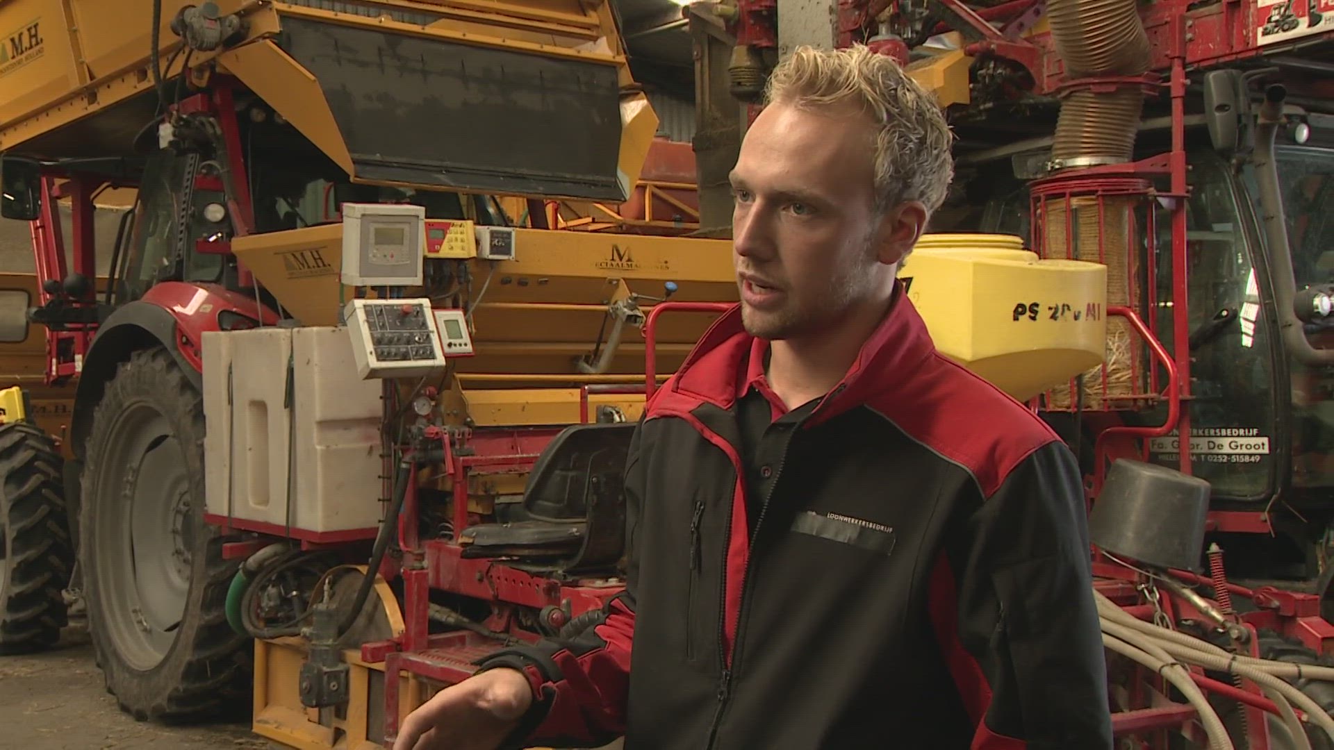 Bollen Voor De Keukenhof
