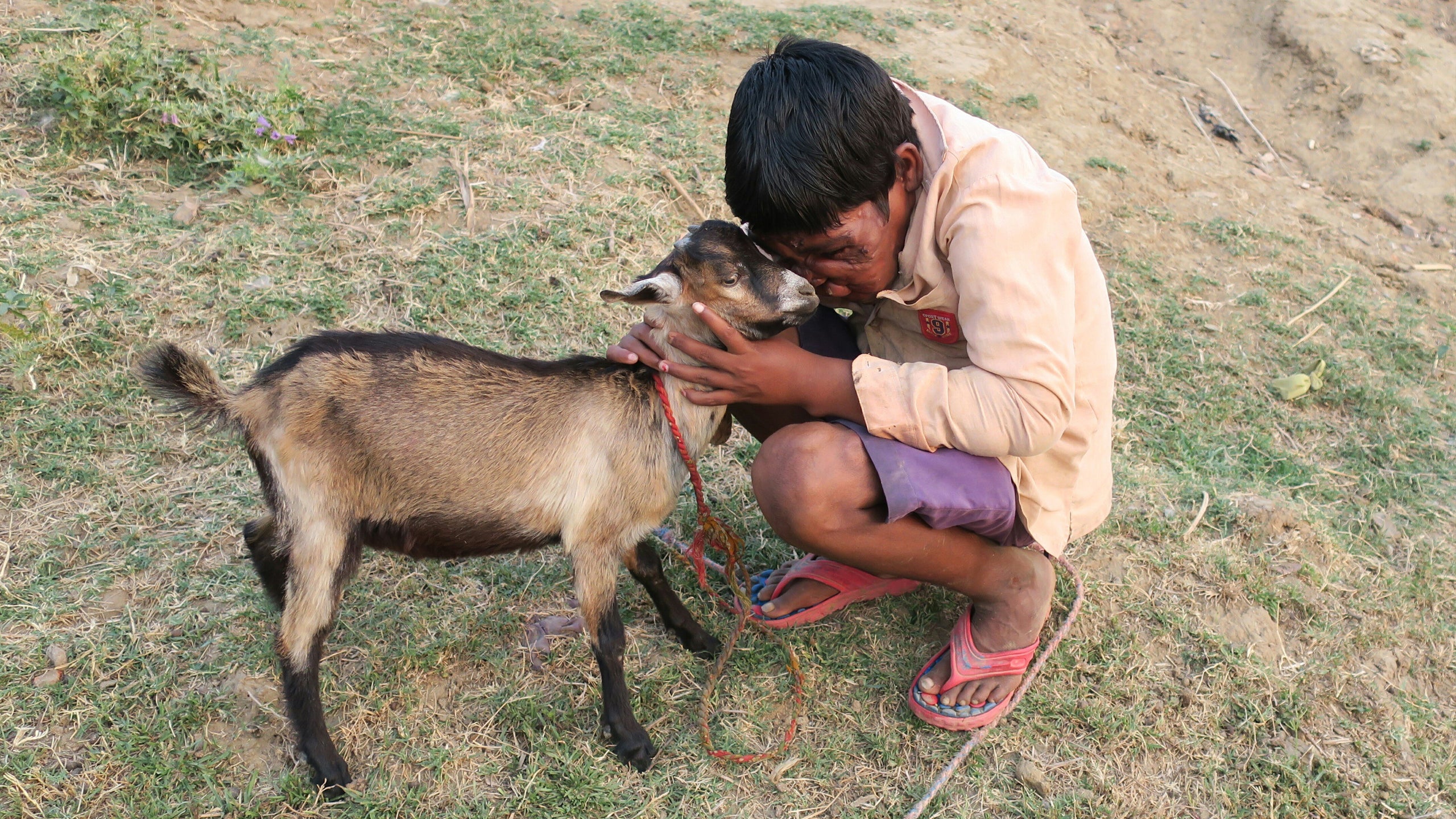 Shock Doc: The Bubble Wrap Boy
