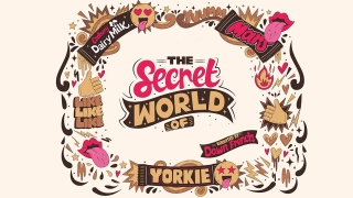 The Secret World Of Snacks