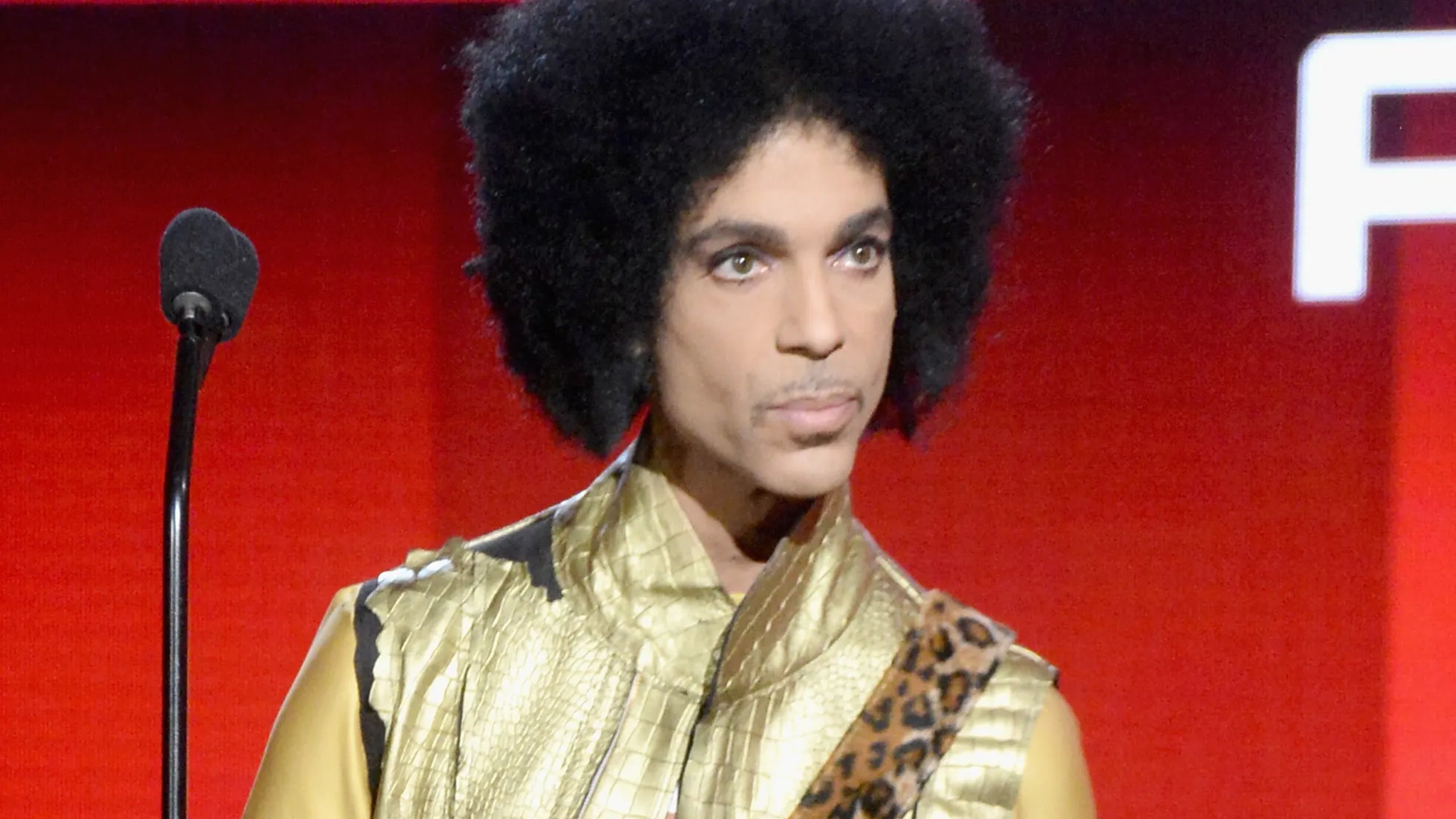 Supersterren: De Geheimzinnige Dood Van Prince