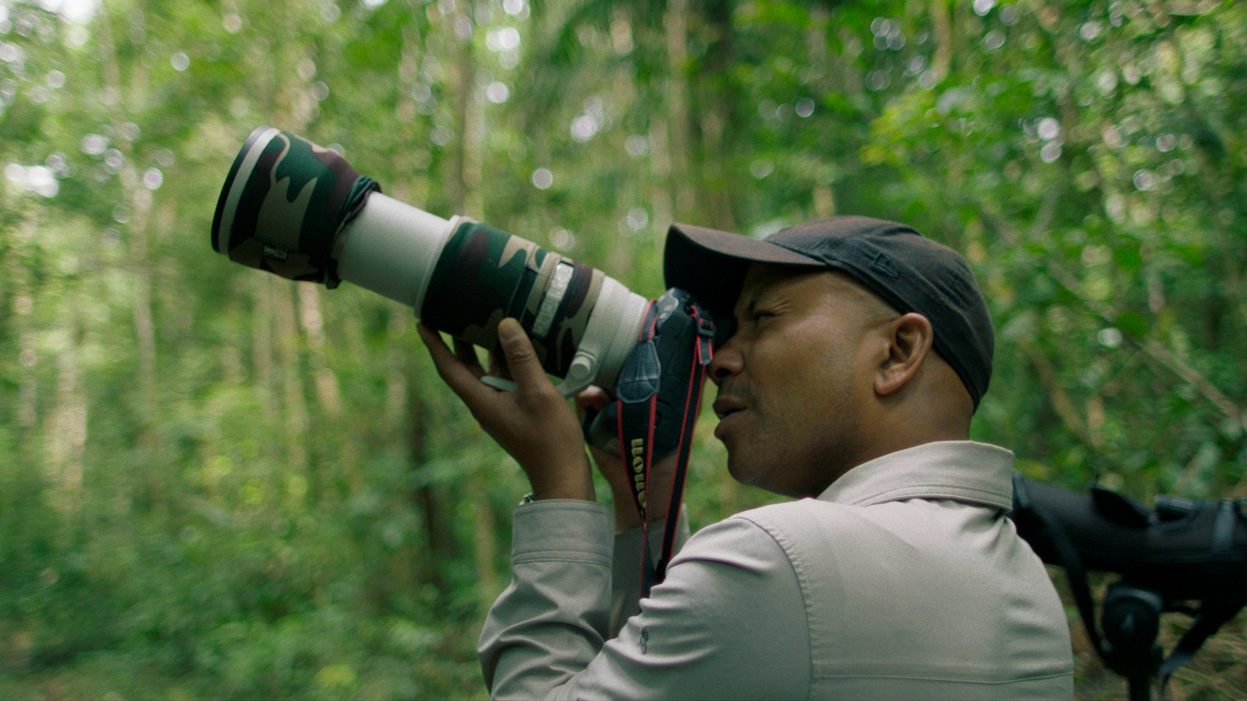 De Jacht Op De Jaguar