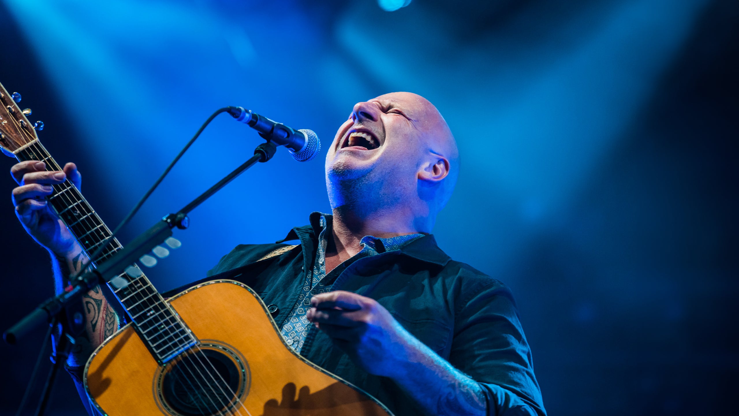 BLØF bij Concert At Sea