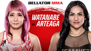 Watanabe vs Arteaga: Bellator X Rizin 2 (Fight)