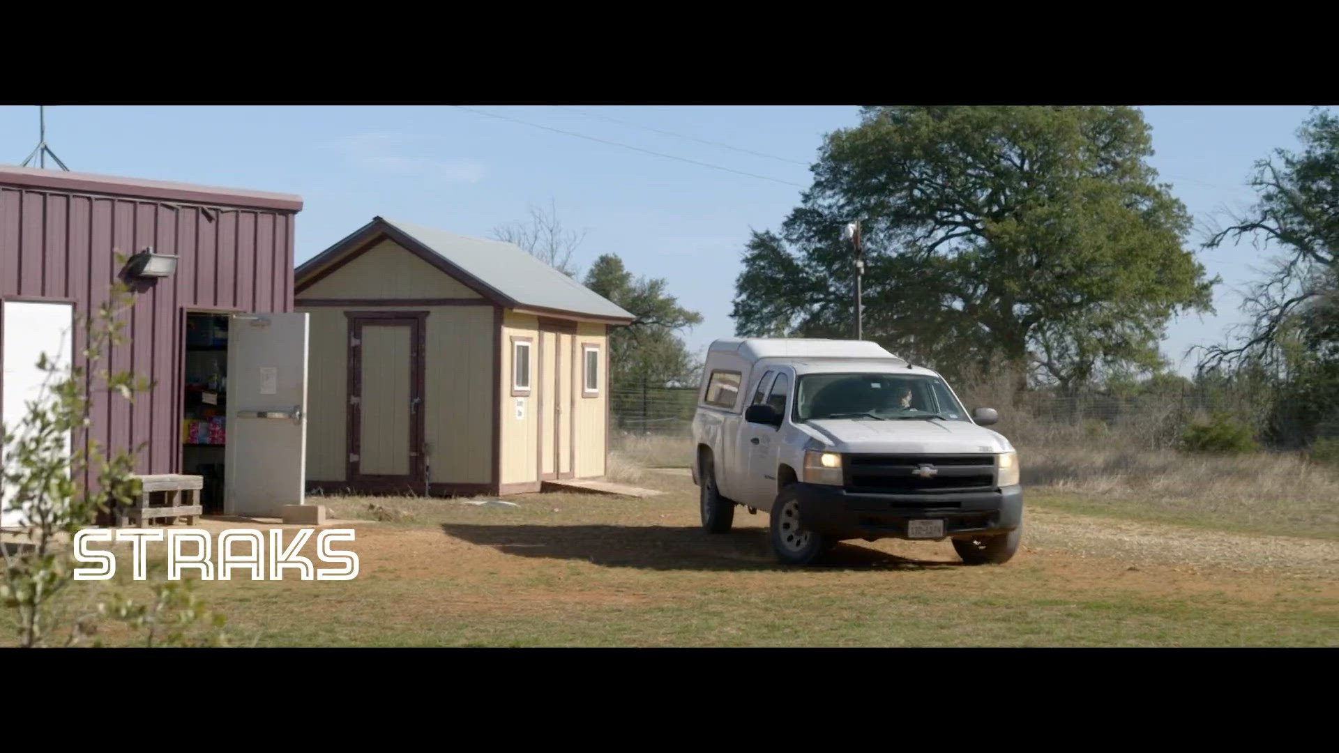 Dode Lichamen Onderzocht