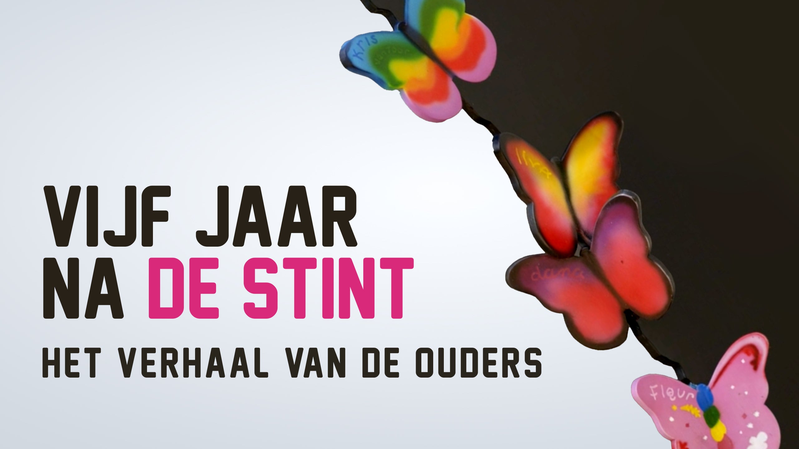 Vijf Jaar Na De Stint: Het Verhaal Van De Ouders