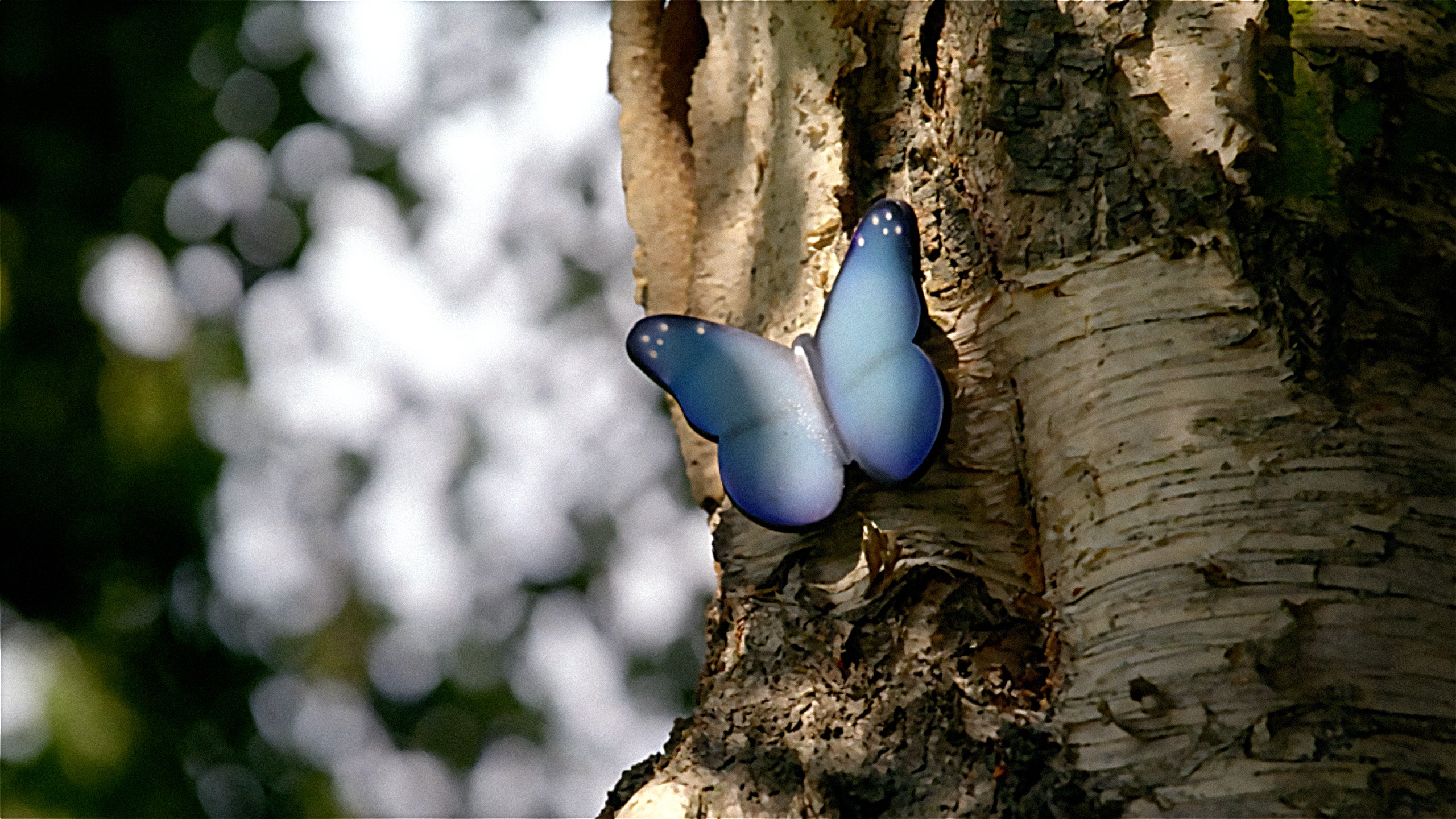 Vijf Jaar Na De Stint: Het Verhaal Van De Ouders