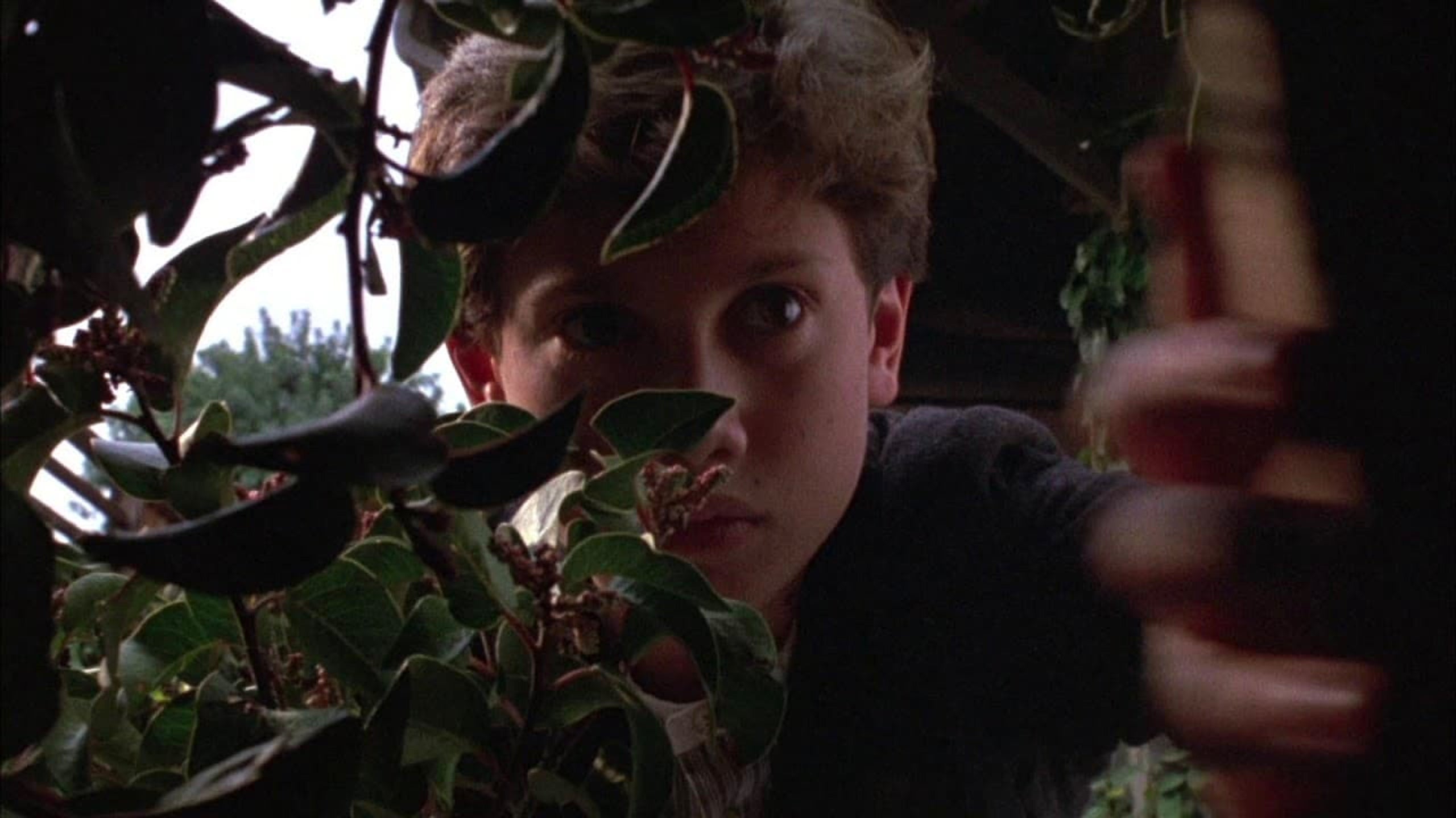 Children Of The Corn III: Urban Harvest