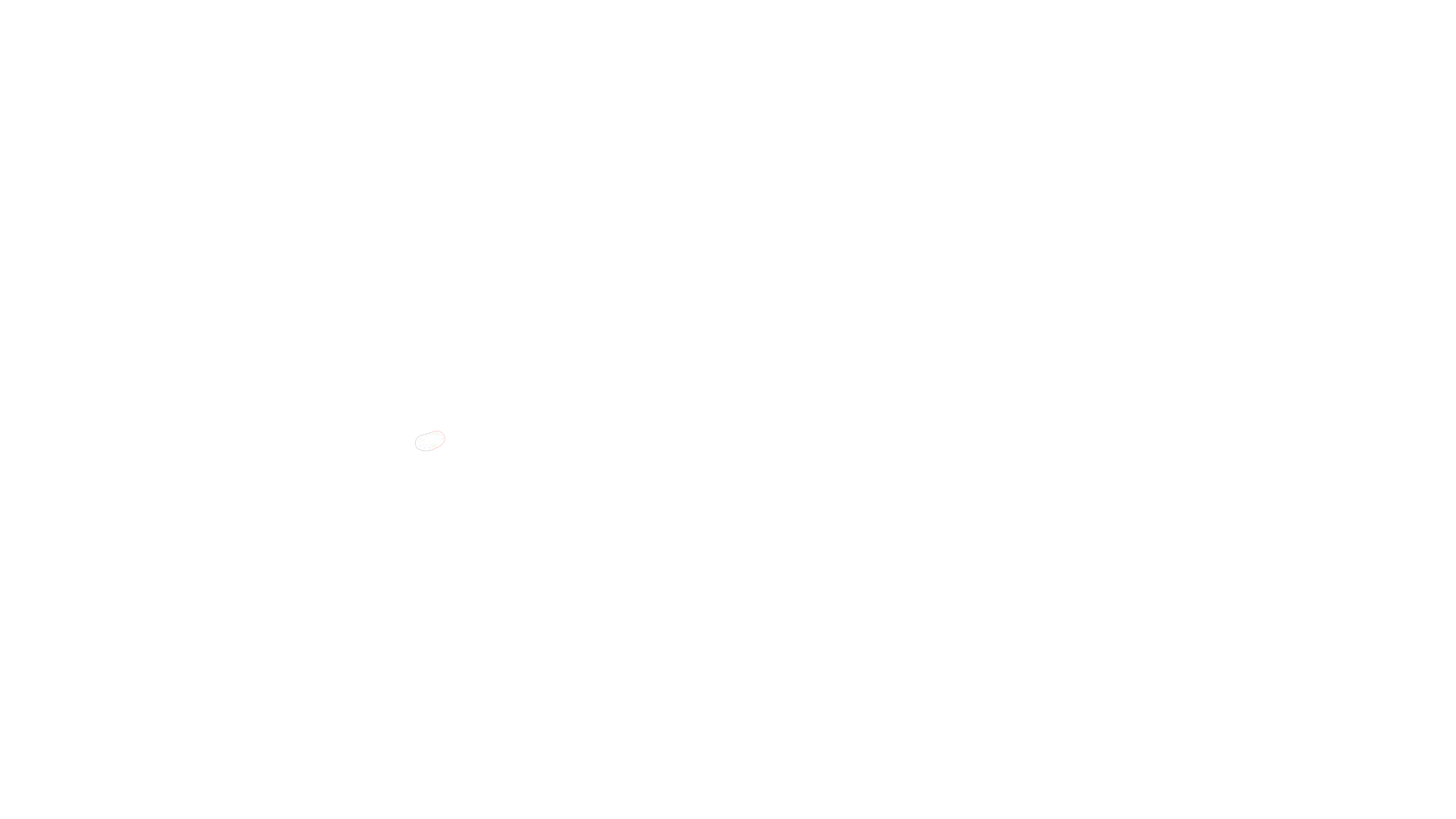 Christmas In Washington