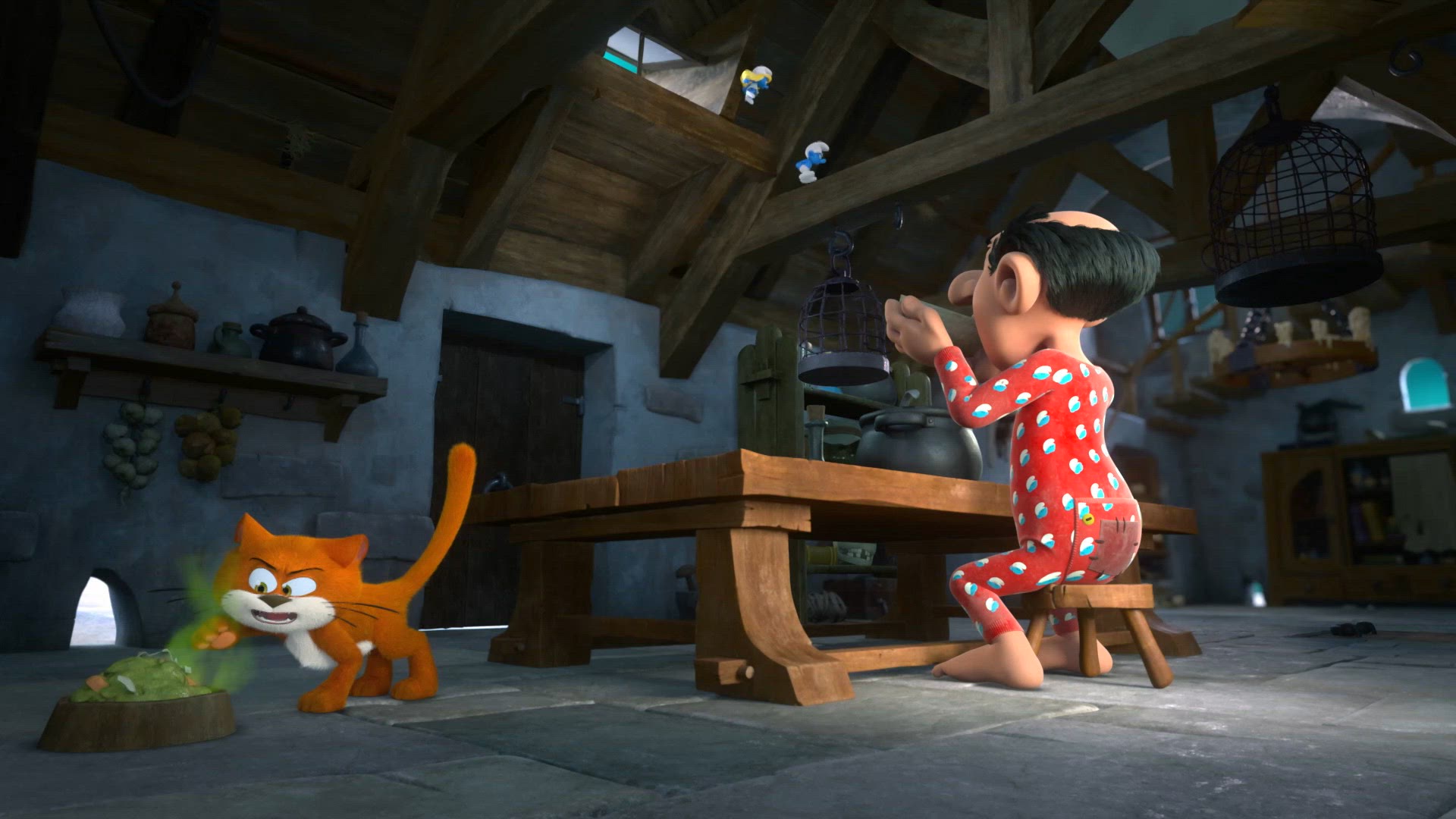 Kijk Uit Voor De Kat