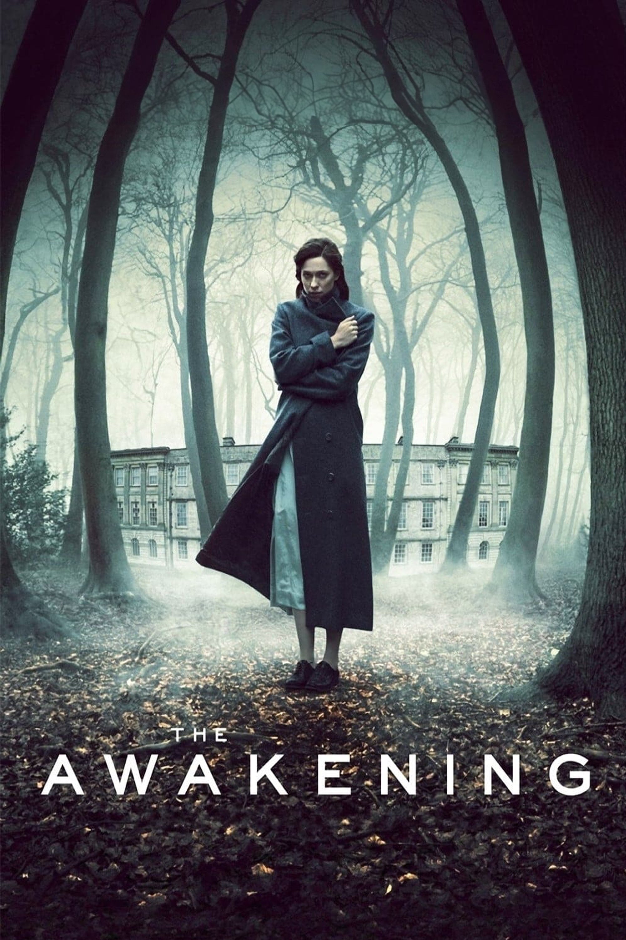 The Awakening op Videoland