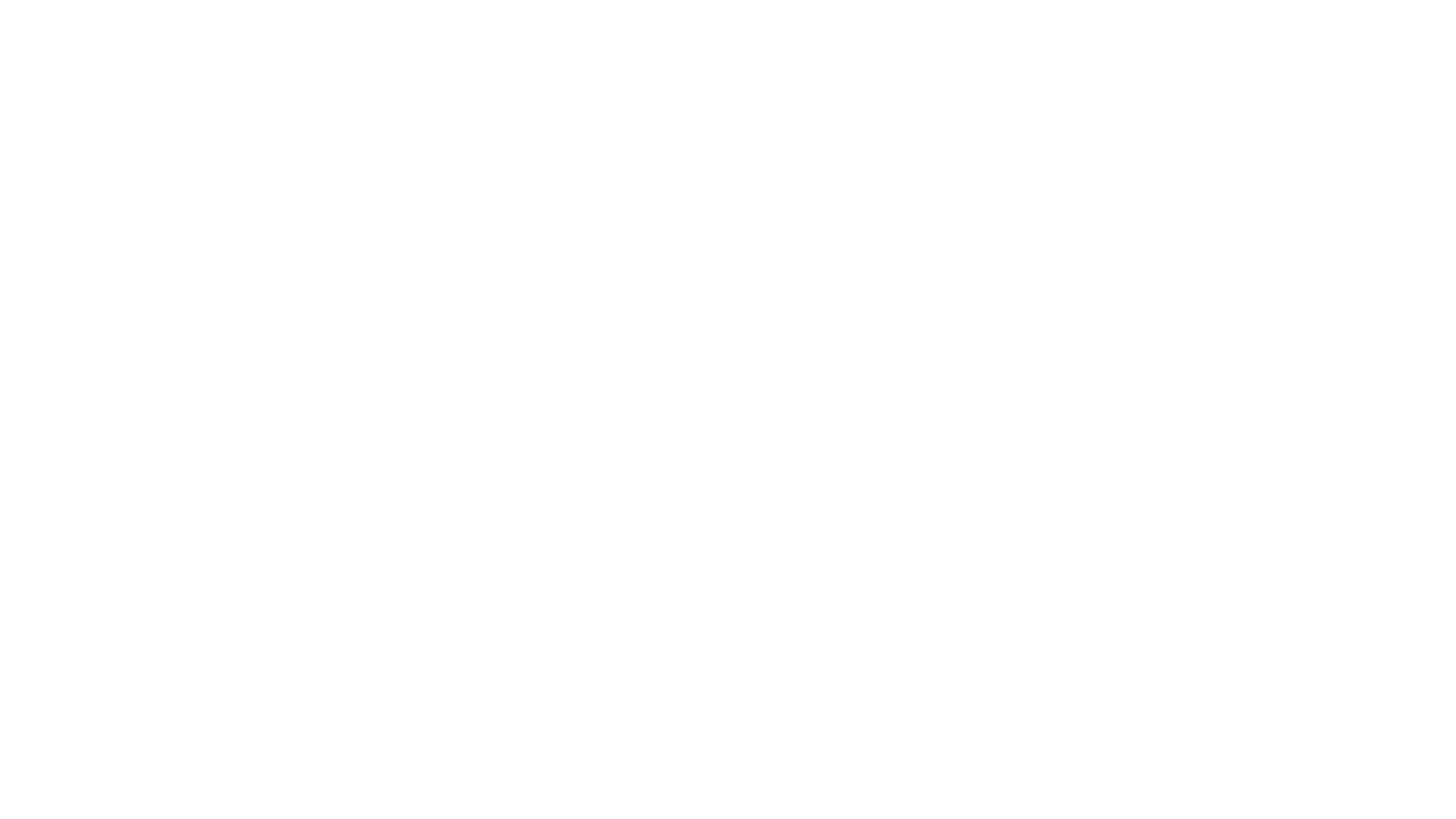 The Fanatic