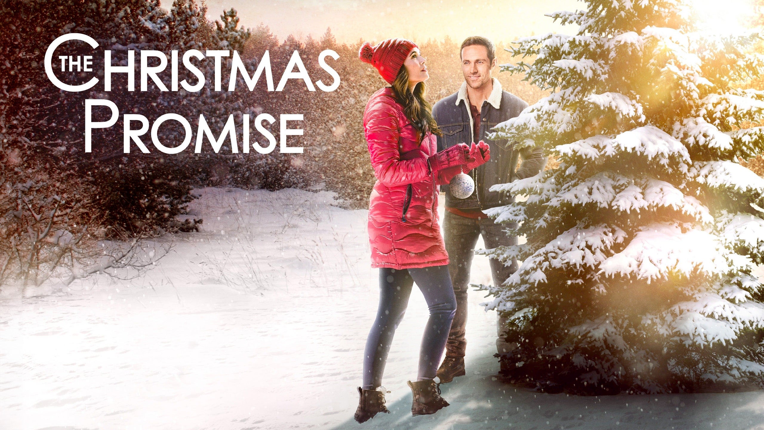 The Christmas Promise