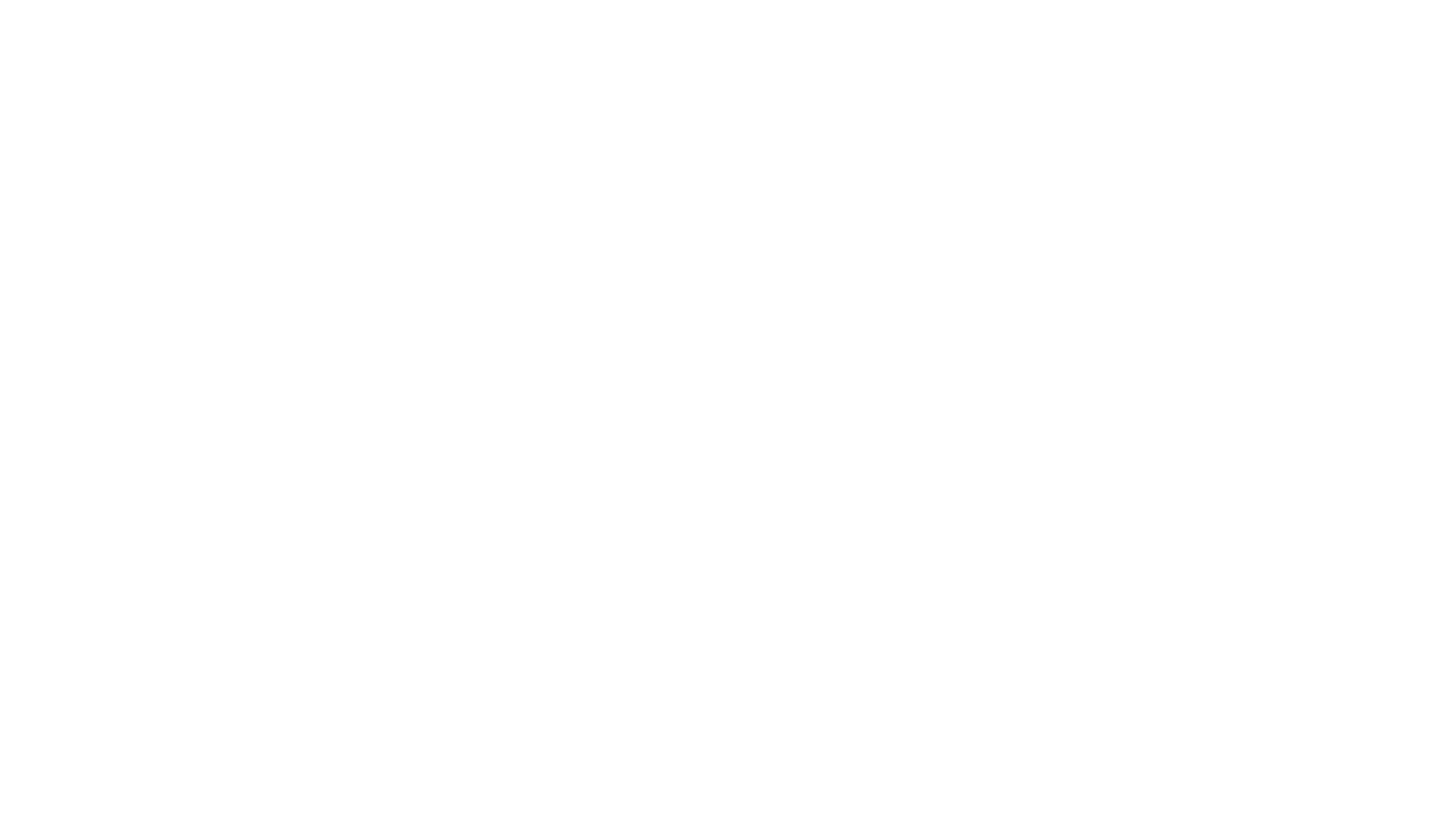 The Christmas Promise