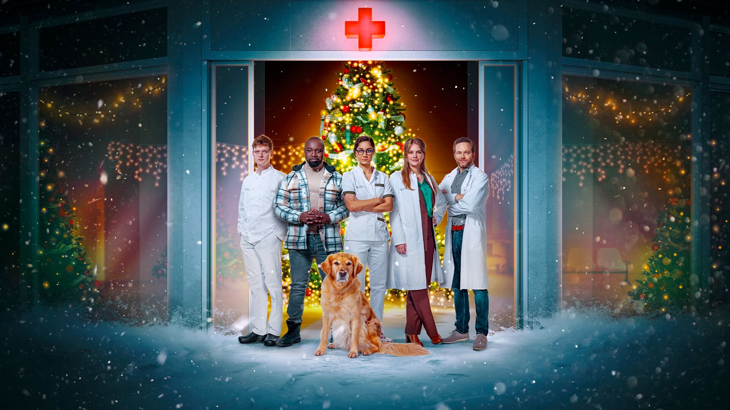 Eerste Hulp Bij Kerst