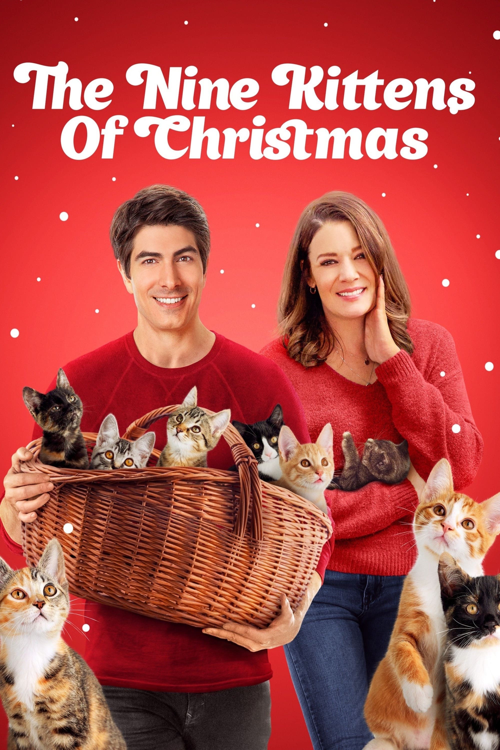 The Nine Kittens of Christmas op Videoland