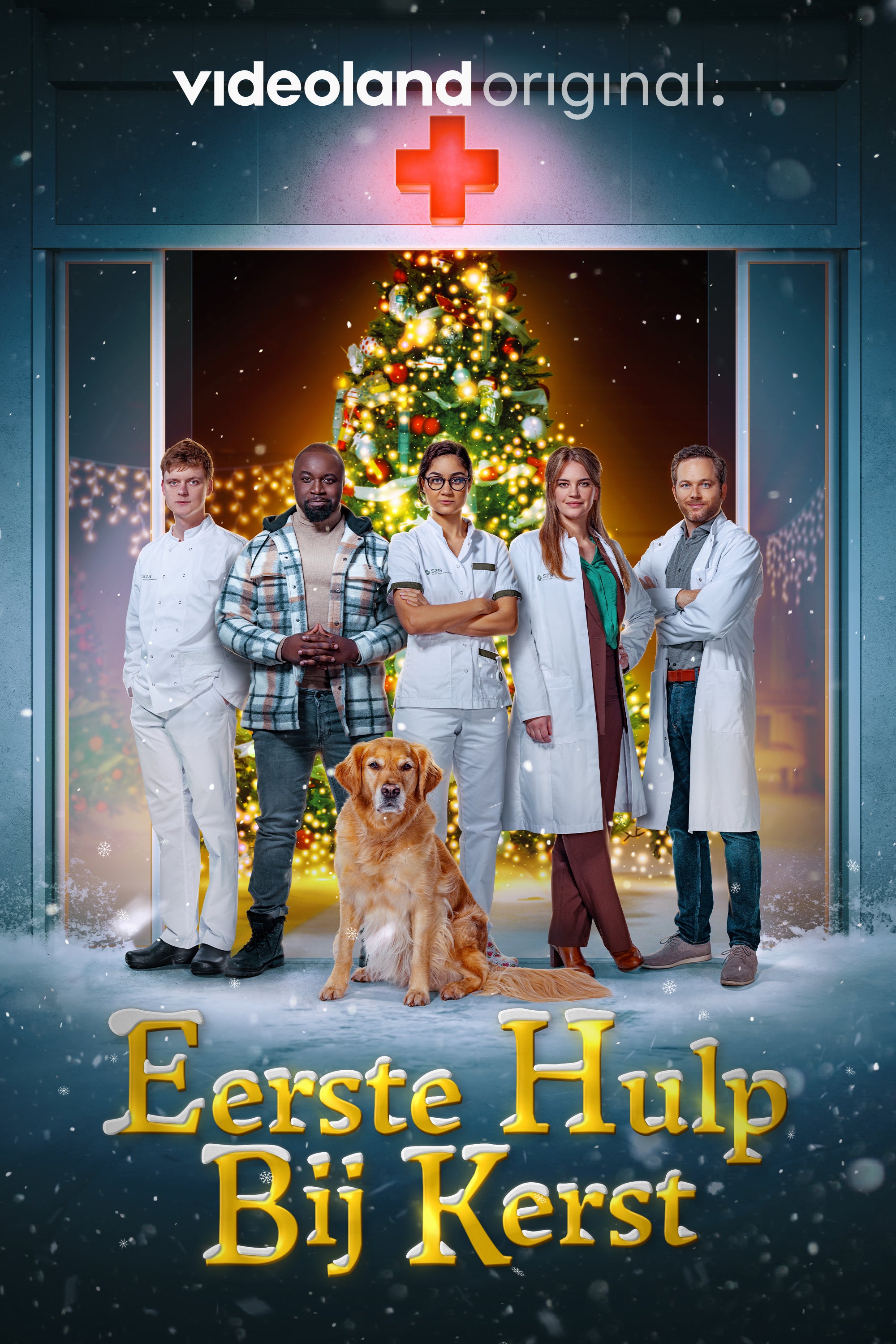 Eerste Hulp Bij Kerst