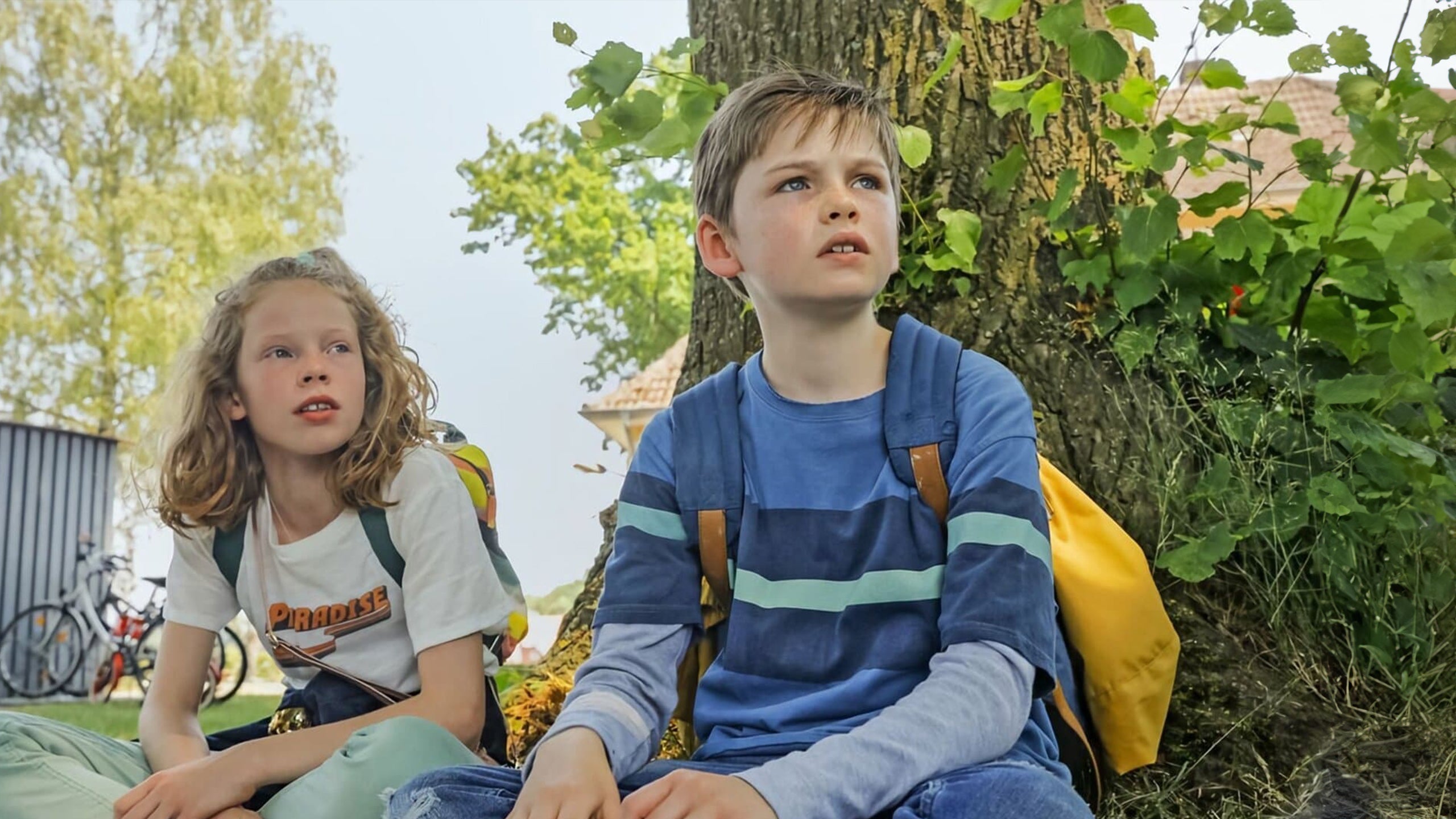 Lassie: Een Reis Vol Avontuur