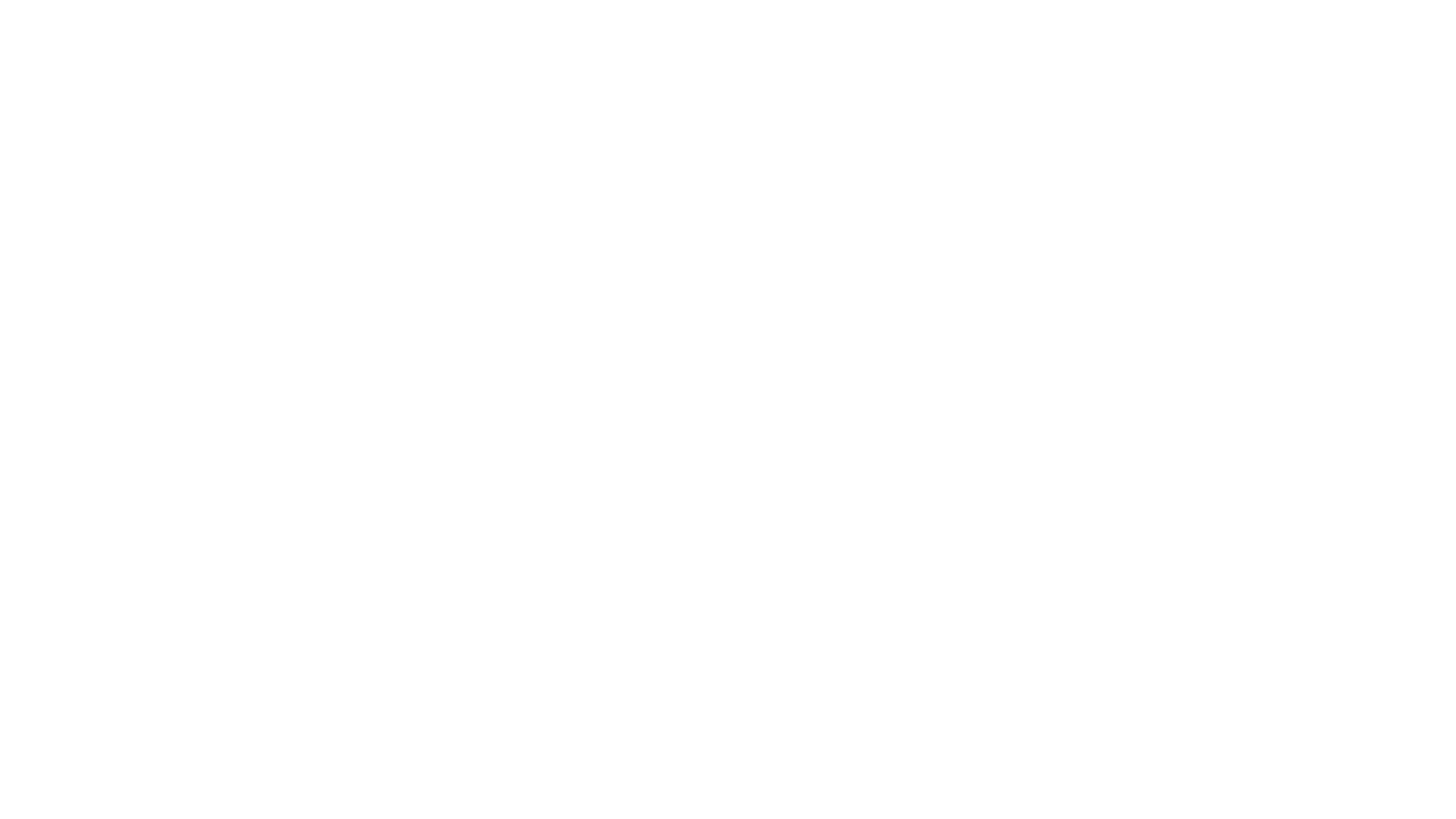 World Endurance Championship Race
