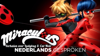 Miraculous: Verhalen over Ladybug & Cat Noir