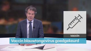 RTL Z Nieuws - 09:00 uur