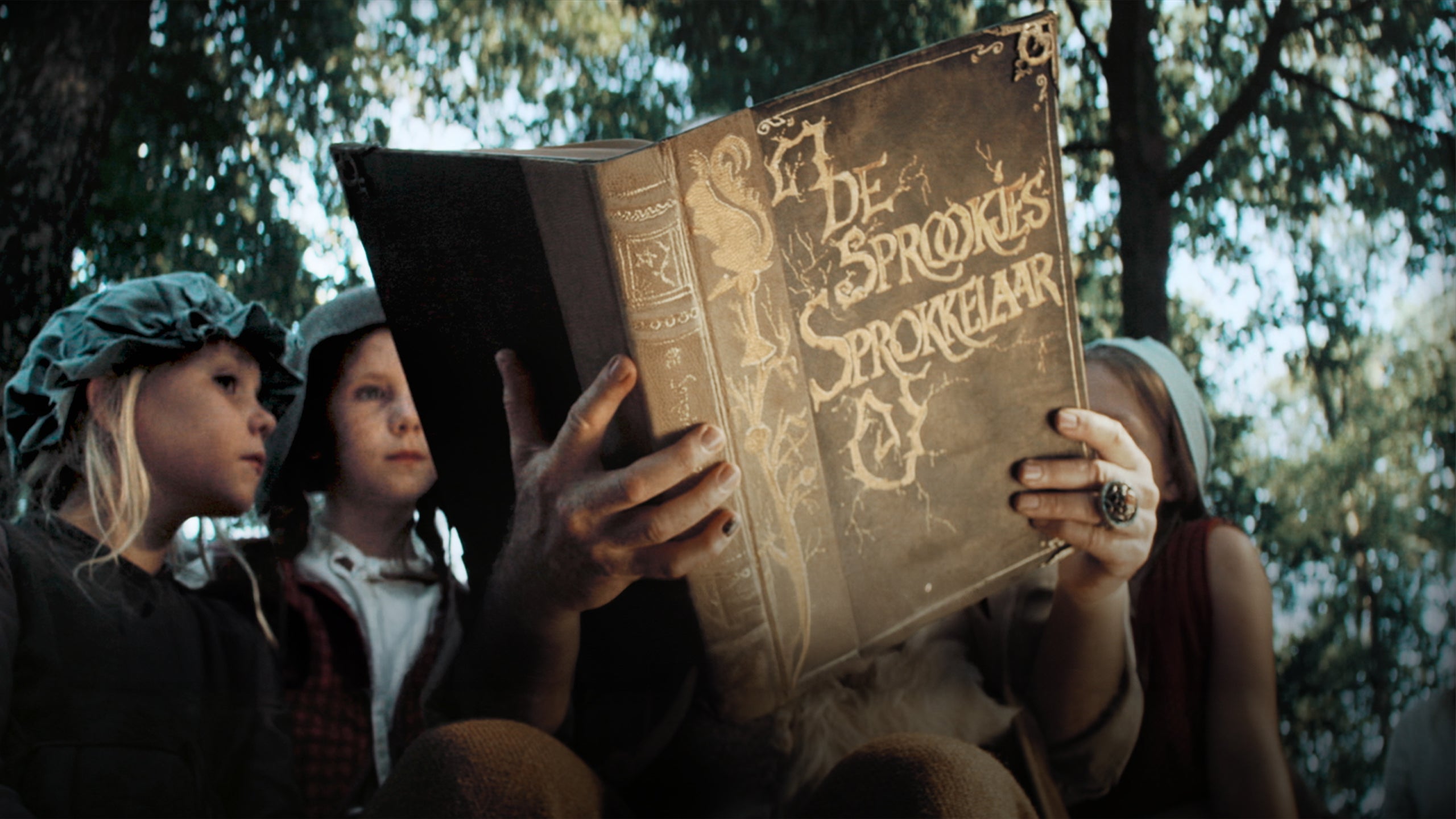 Het Verhaal Van... Sprookjessprokkelaar