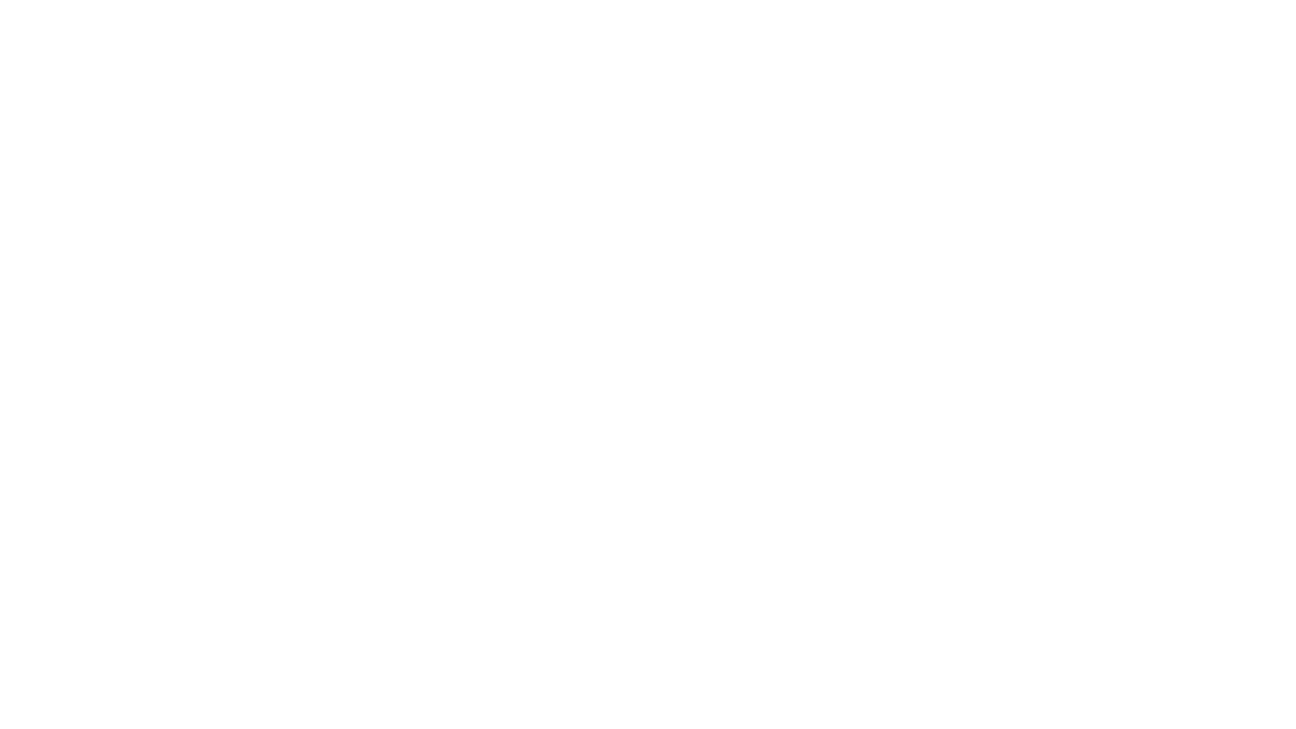 Politie In Het Holst Van De Nacht.
