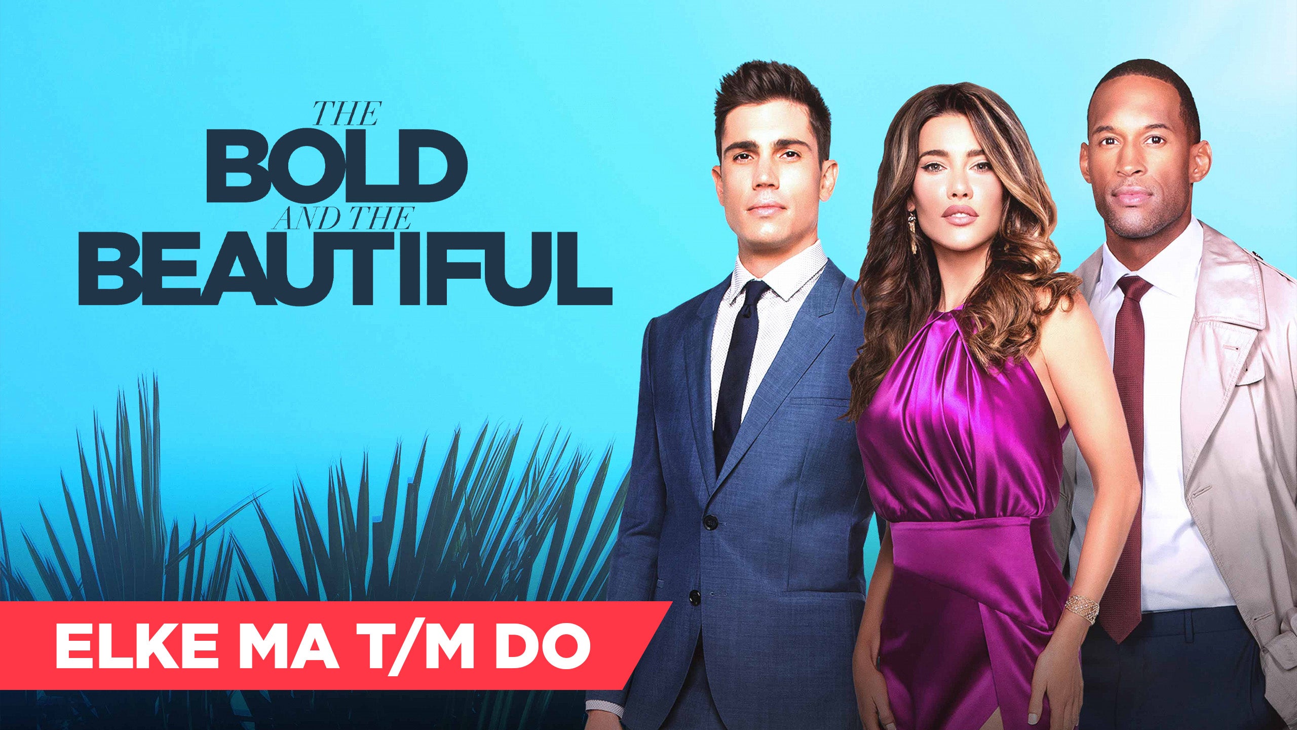 The Bold And The Beautiful