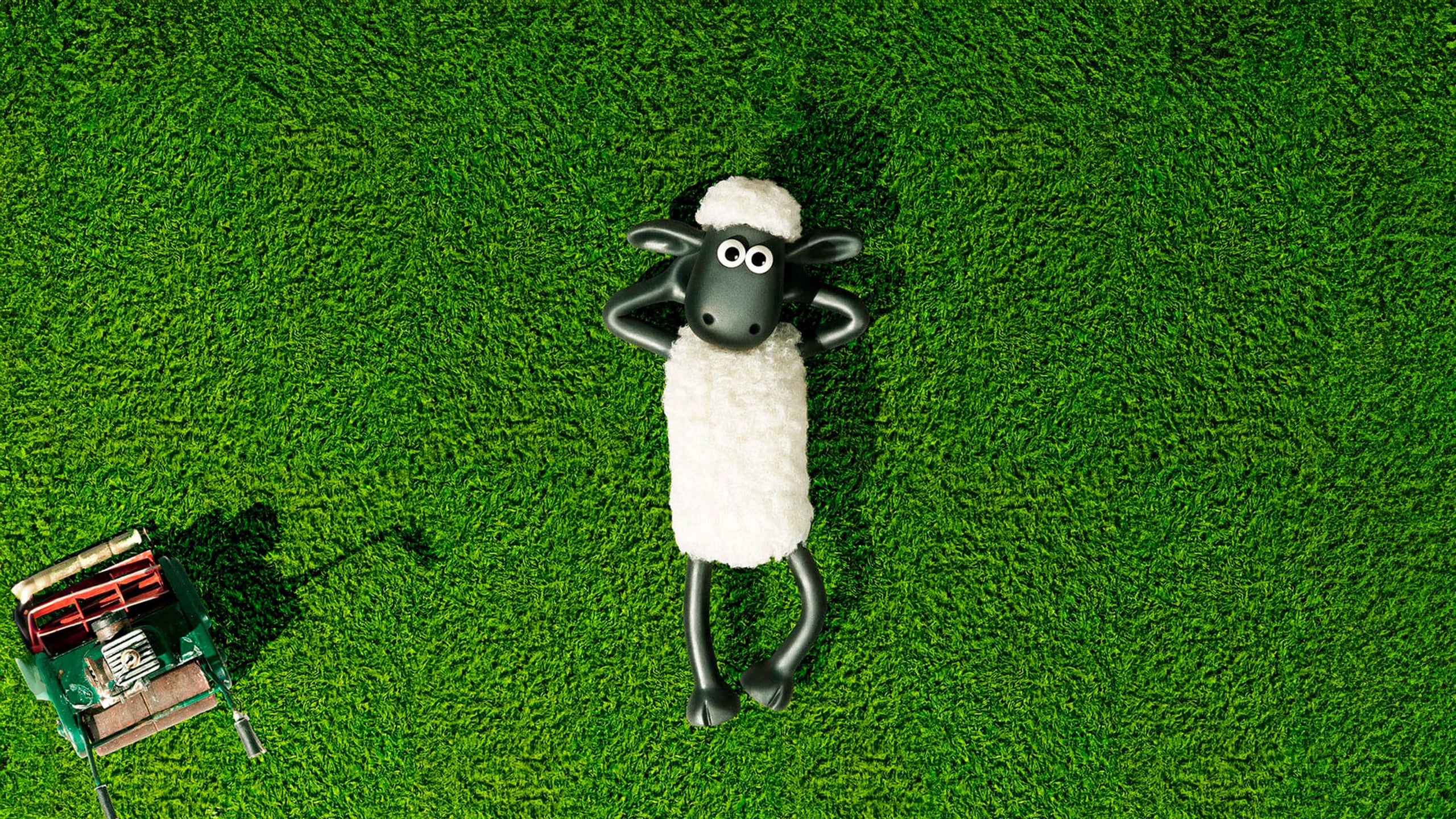 Shaun het Schaap