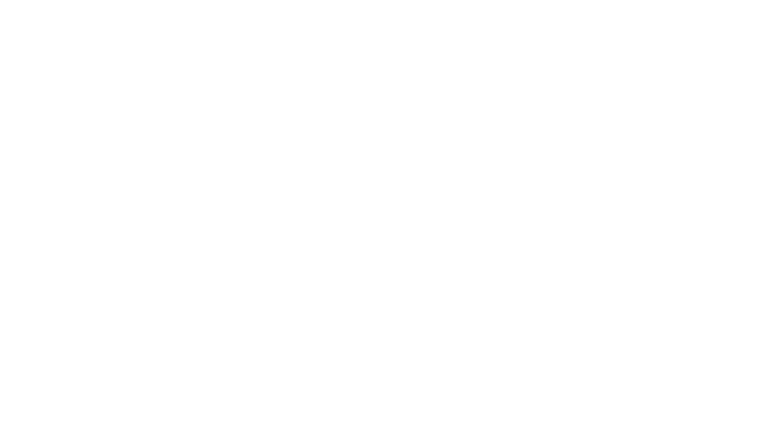 W. - Witse de film