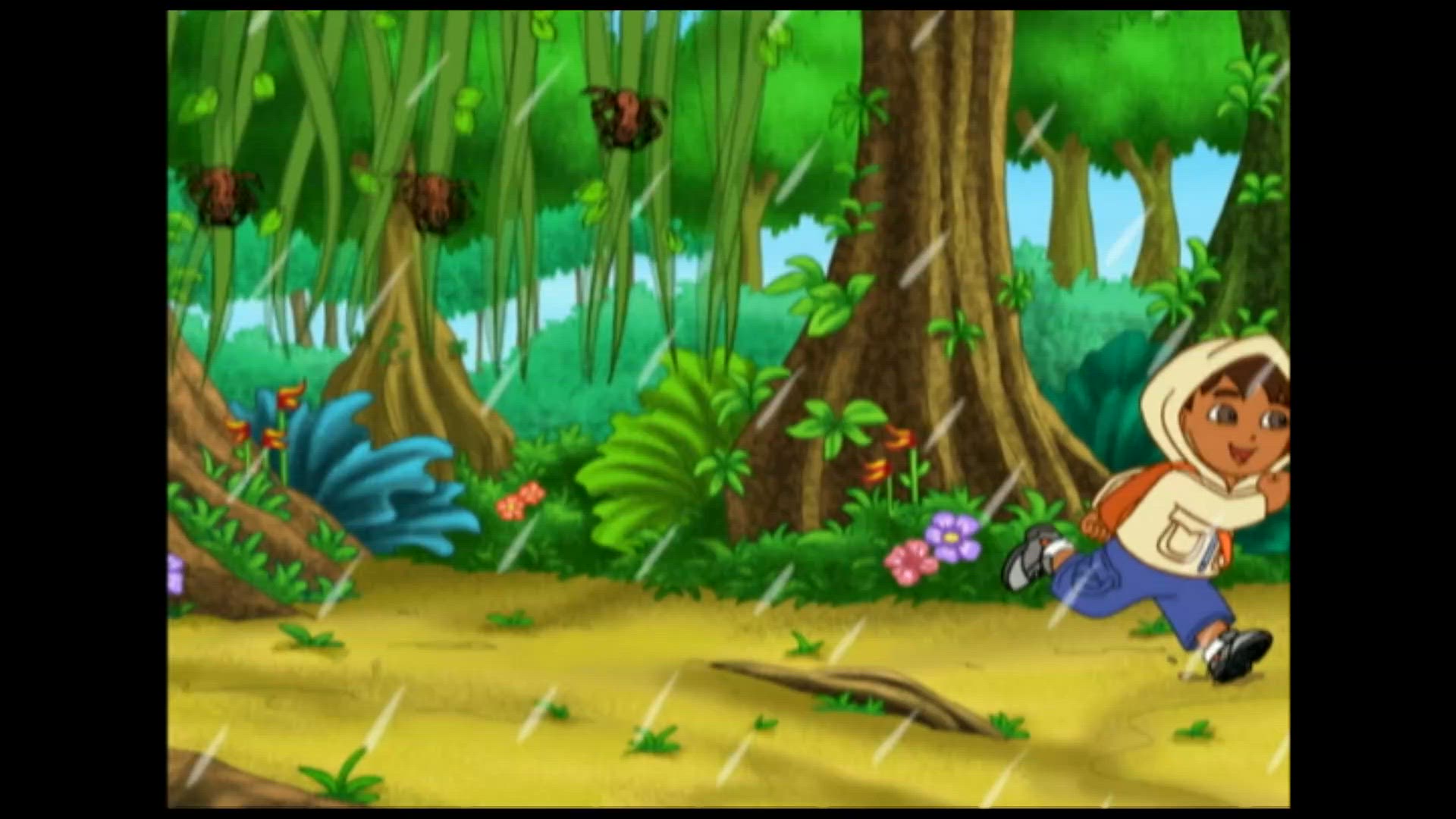 Diego Redt Een Bultrug