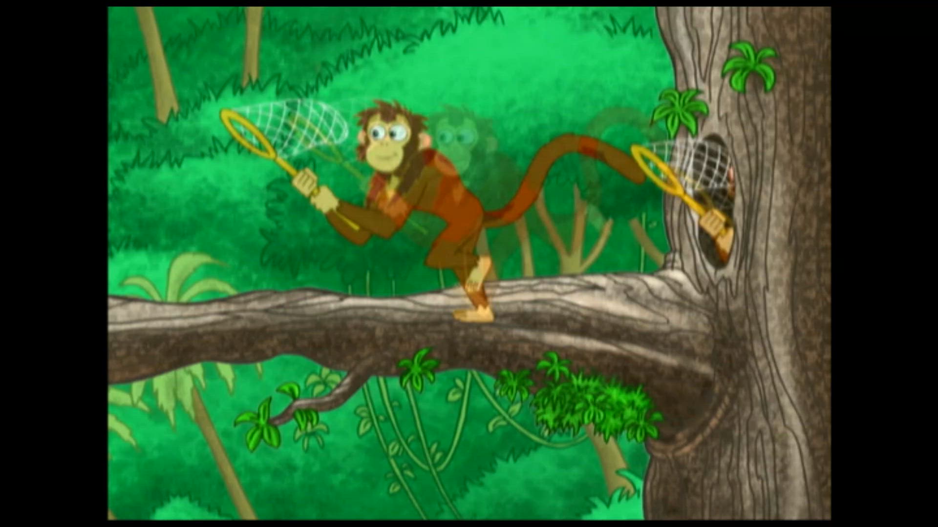 Chinta De Babychinchilla