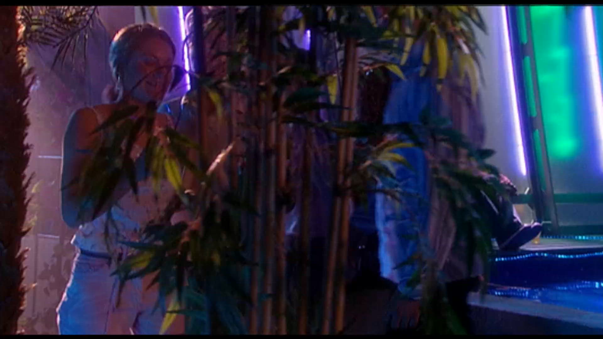 Zon, Zee, Seks En Een Koelcel