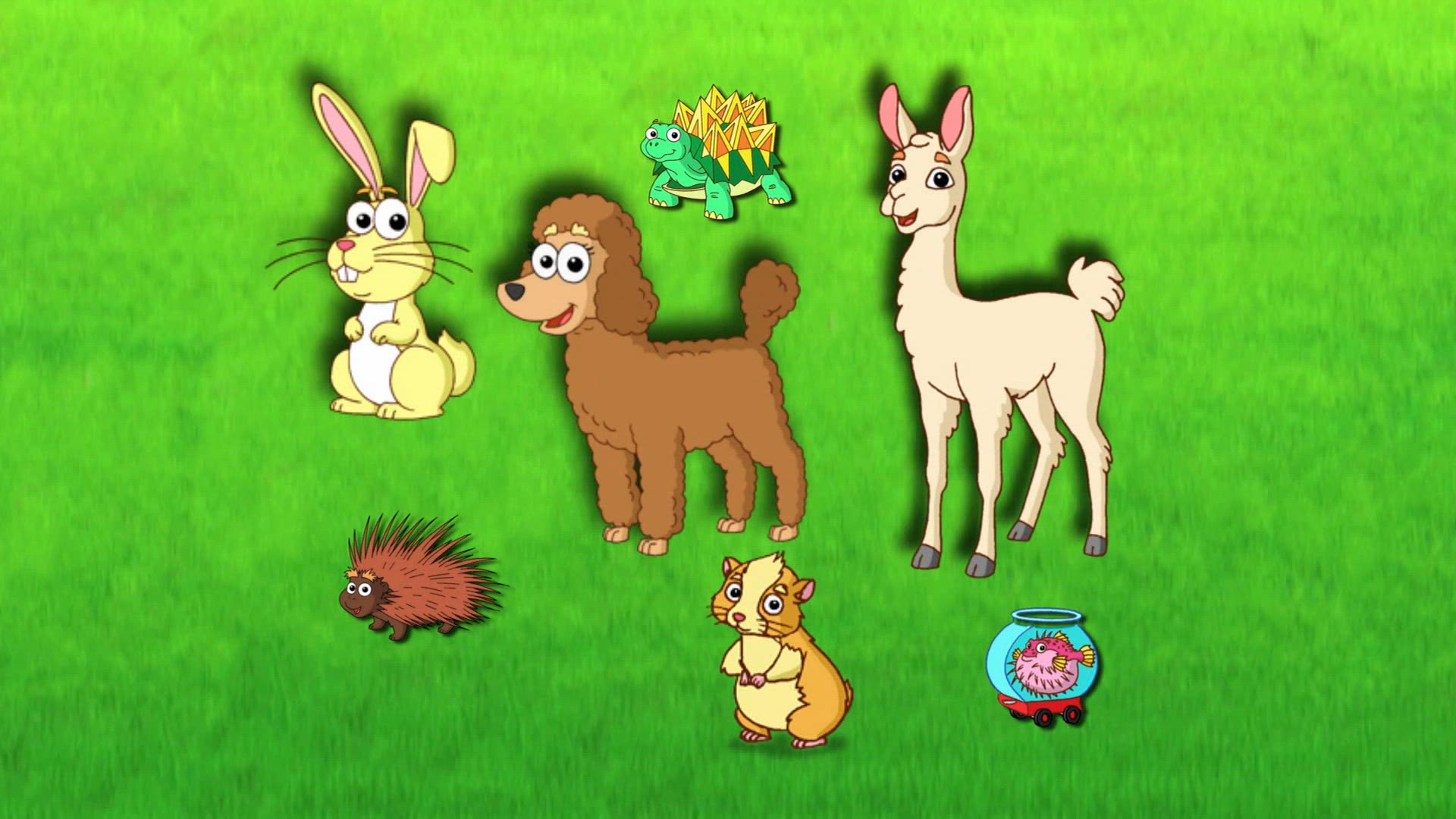 Perrito's Grote Verrassing