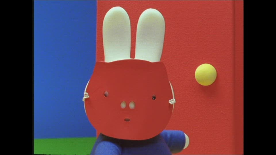 Nijntje En Het Feest Van Tante Trijn