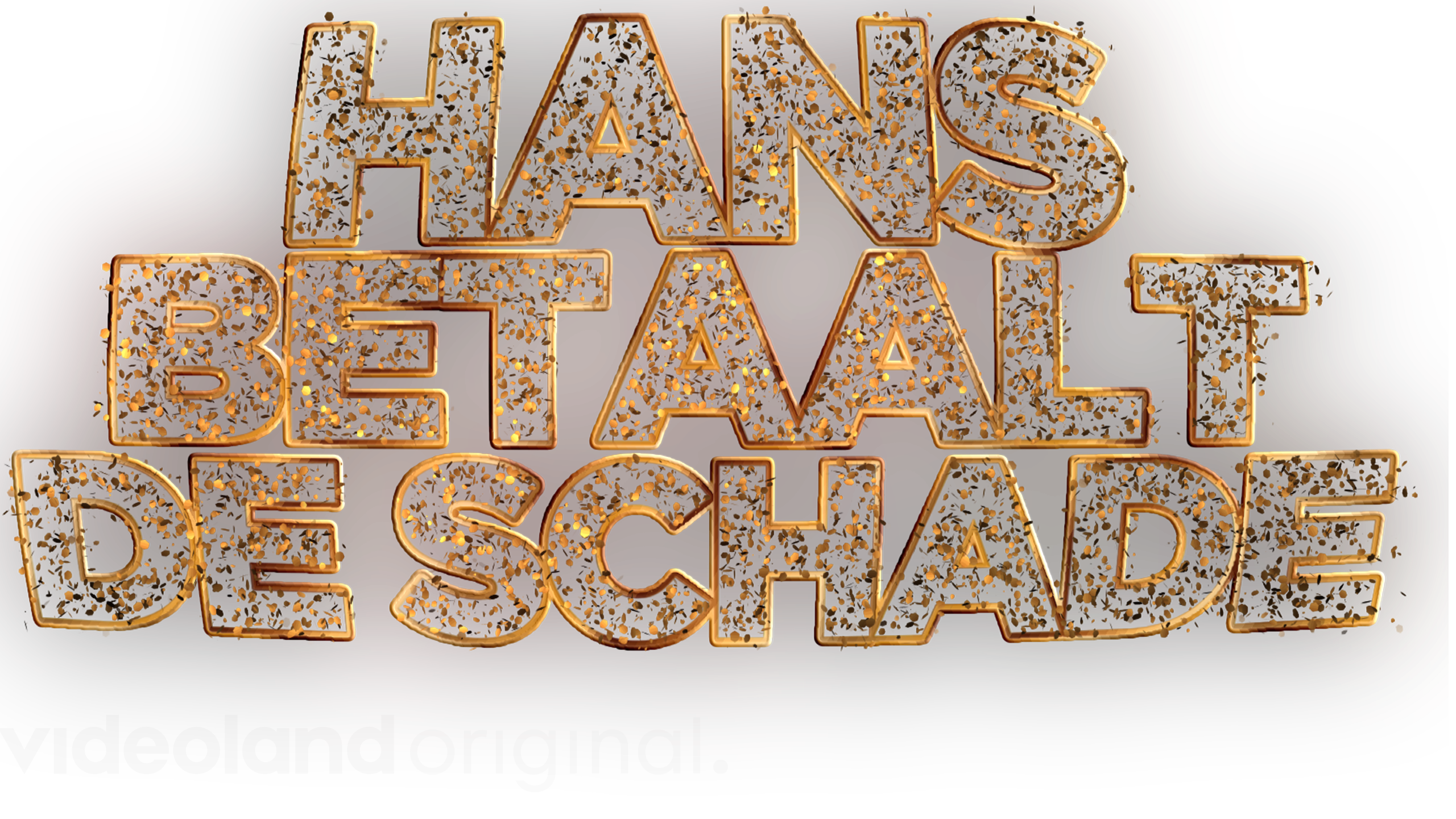 Hans Betaalt De Schade