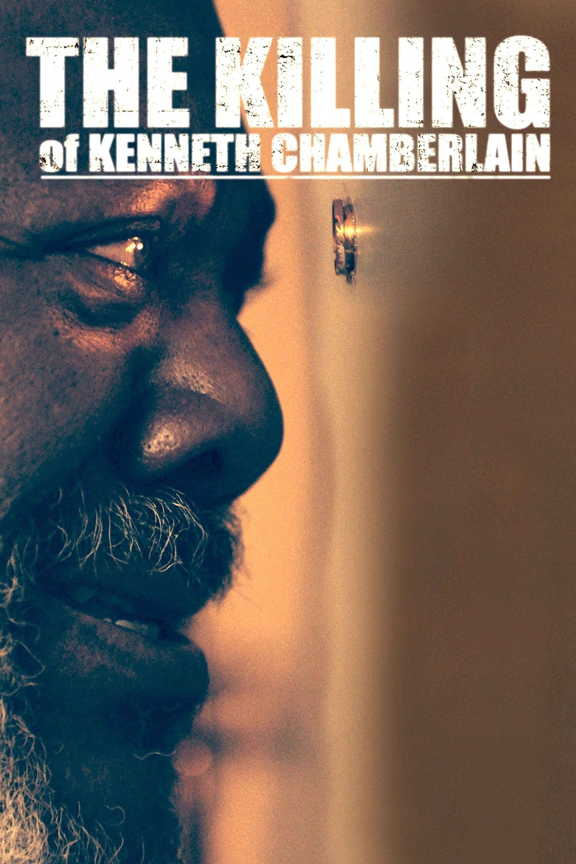 The Killing Of Kenneth Chamberlain