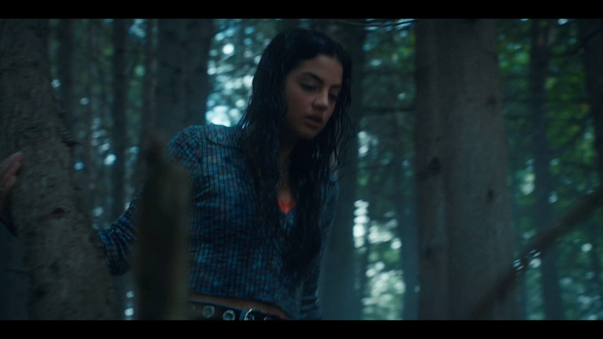 I Don't Want To Miss A Thing