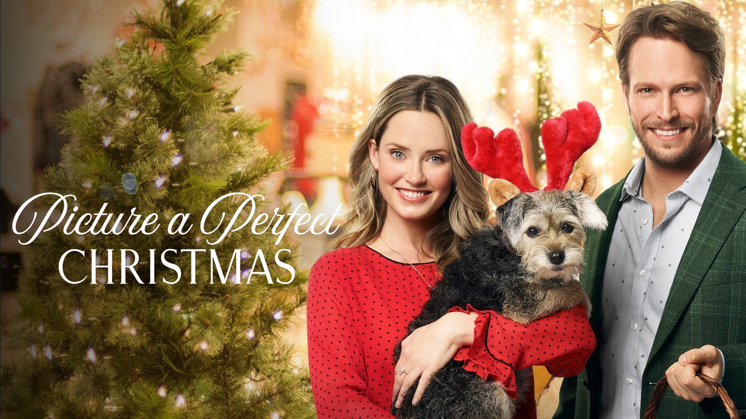 Picture A Perfect Christmas