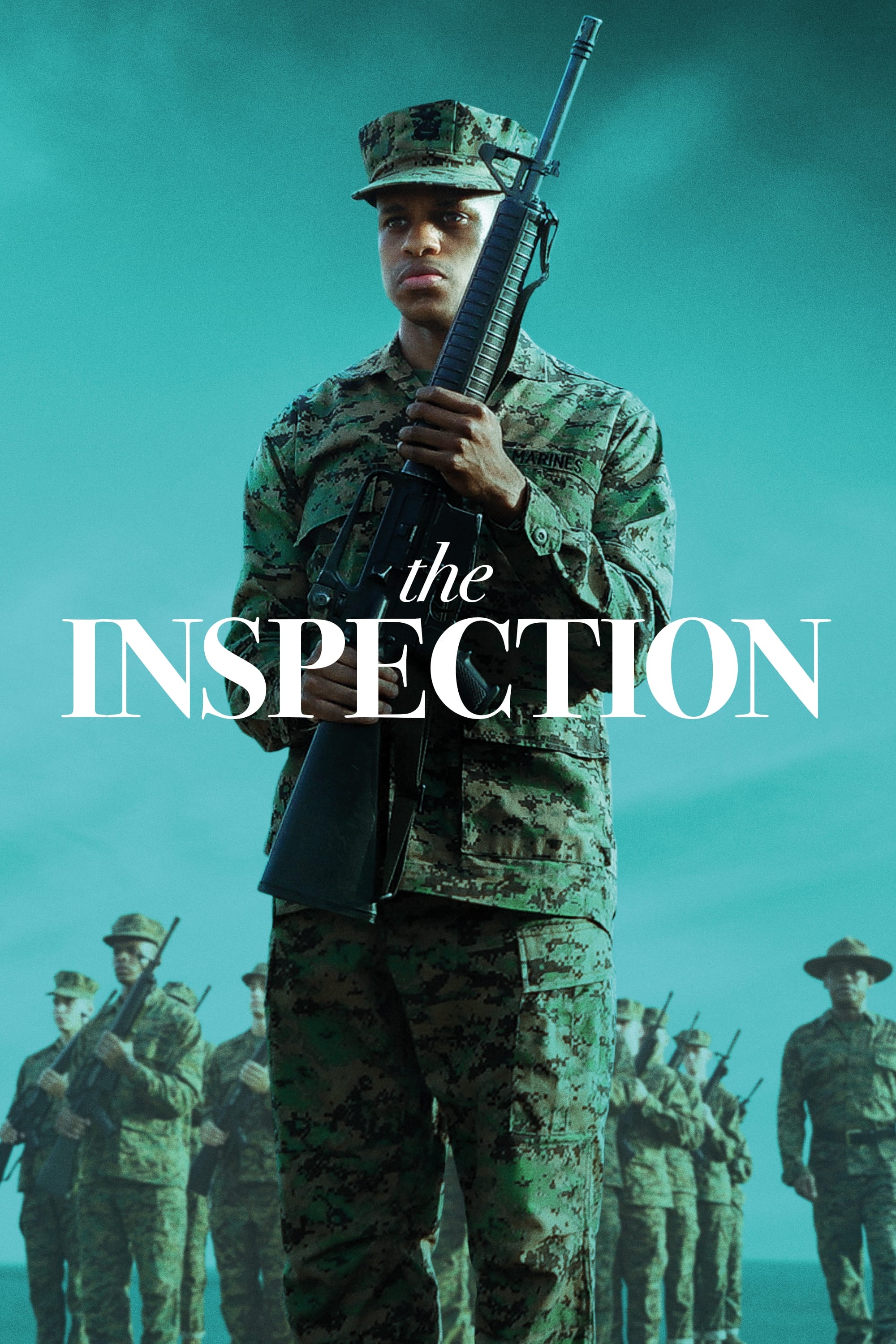 The Inspection