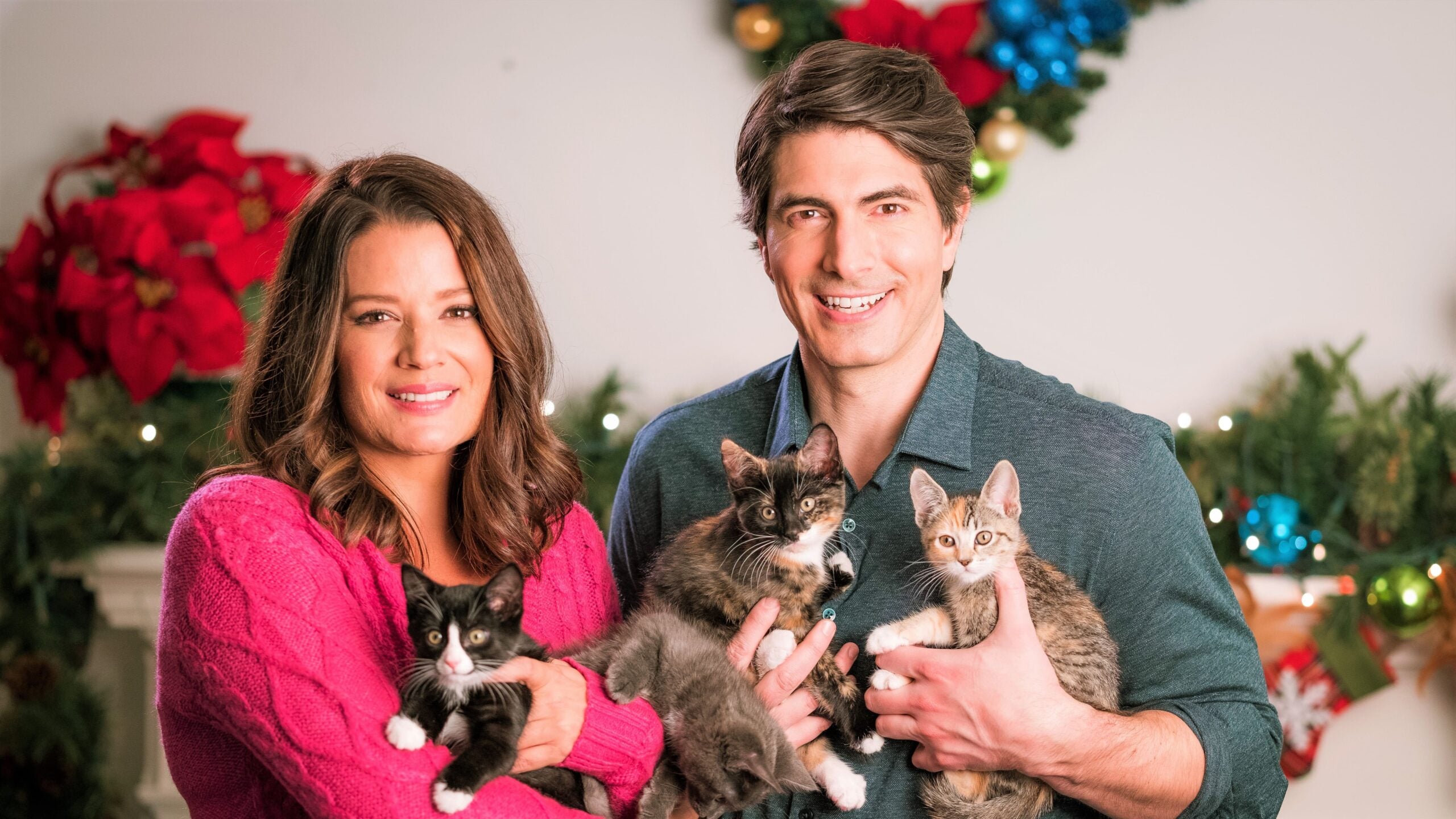 The Nine Kittens of Christmas