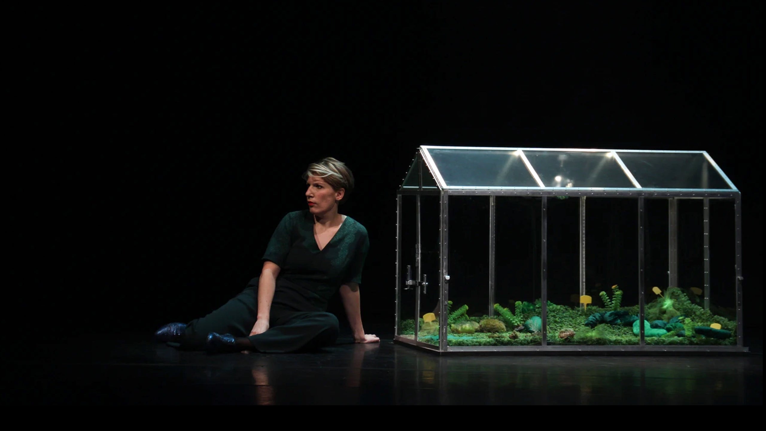 Paulien Cornelisse - Aanstalten