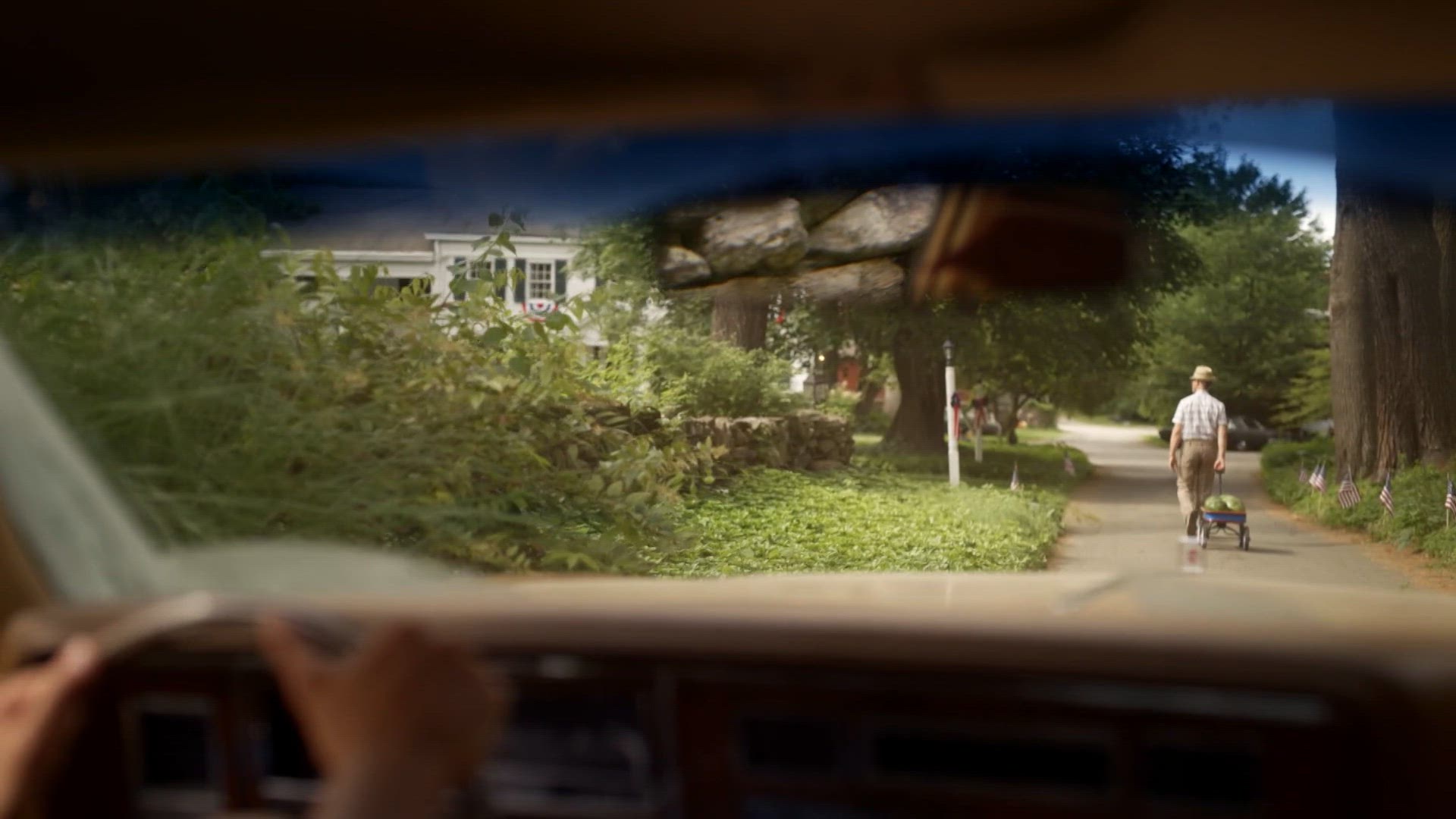 At Night, All Birds Are Black