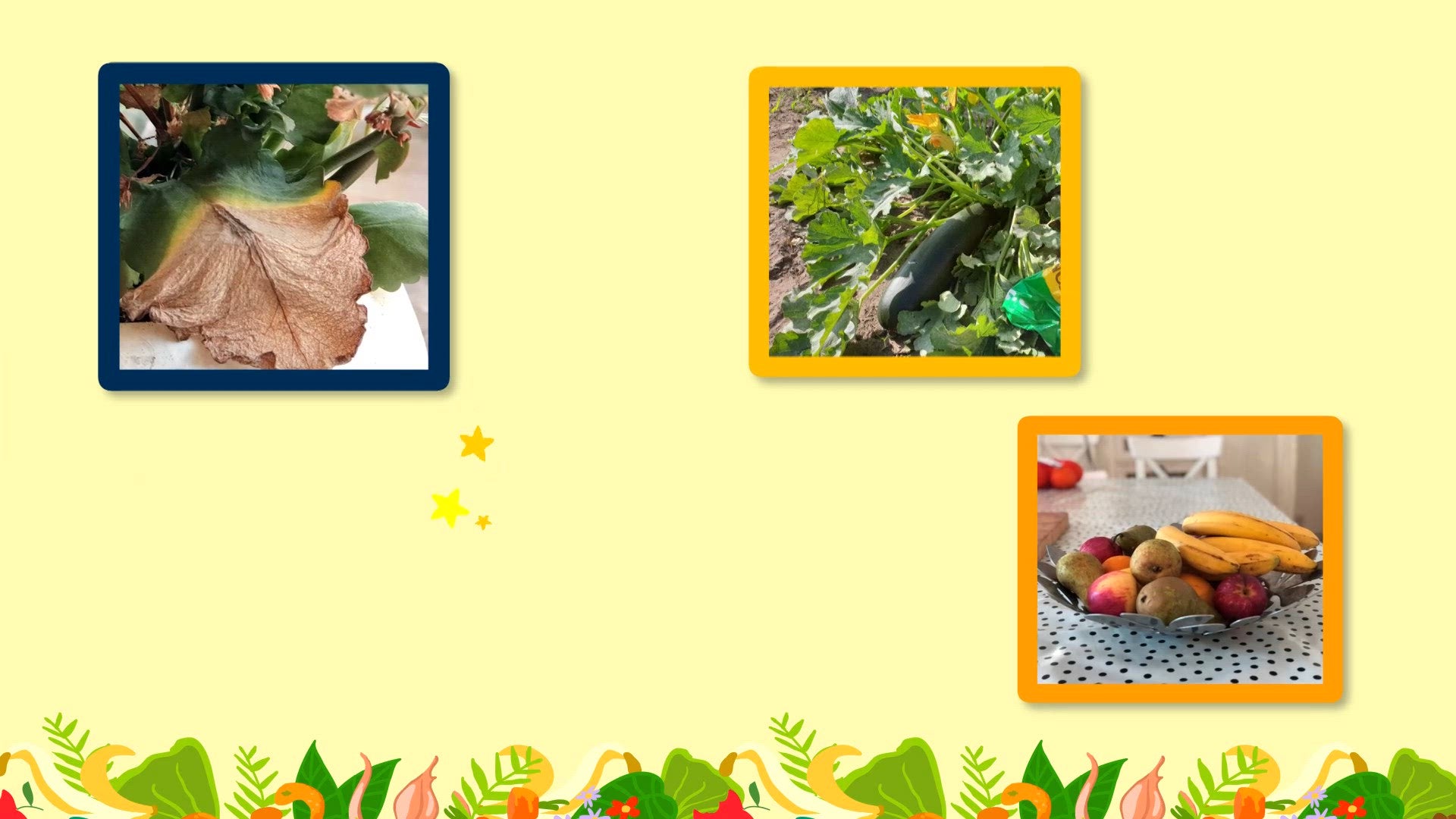 Groente-, fruit- en tuinafval