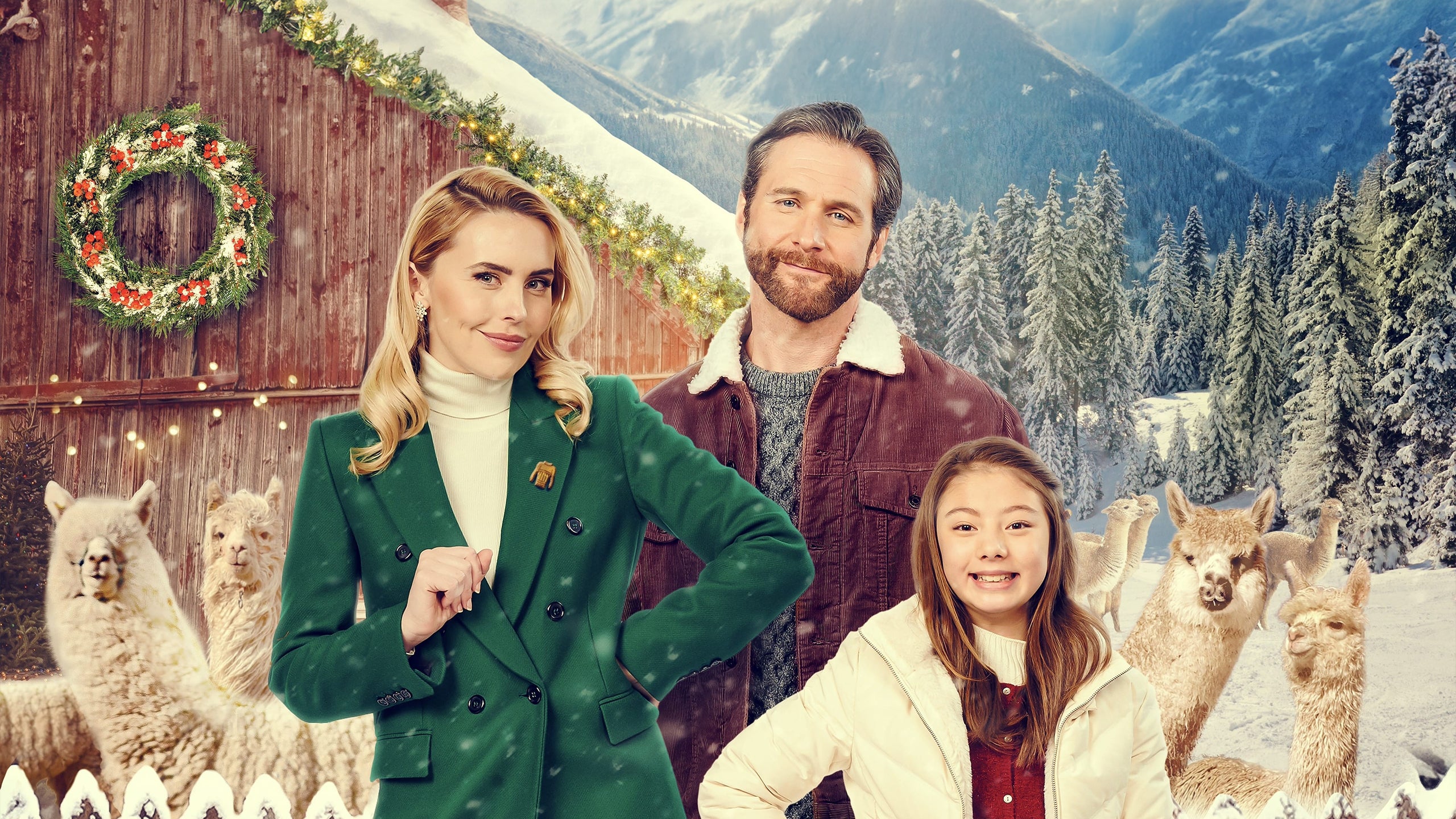 Christmas On The Alpaca Farm