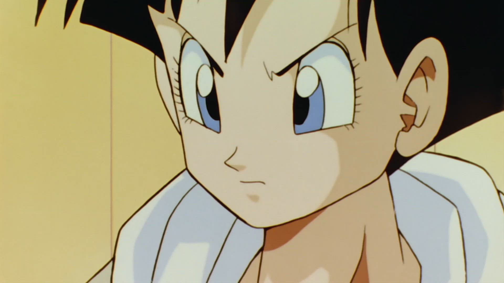 Het Dragon Team Volledig Samengesteld! Goku Is Teruggekomen!